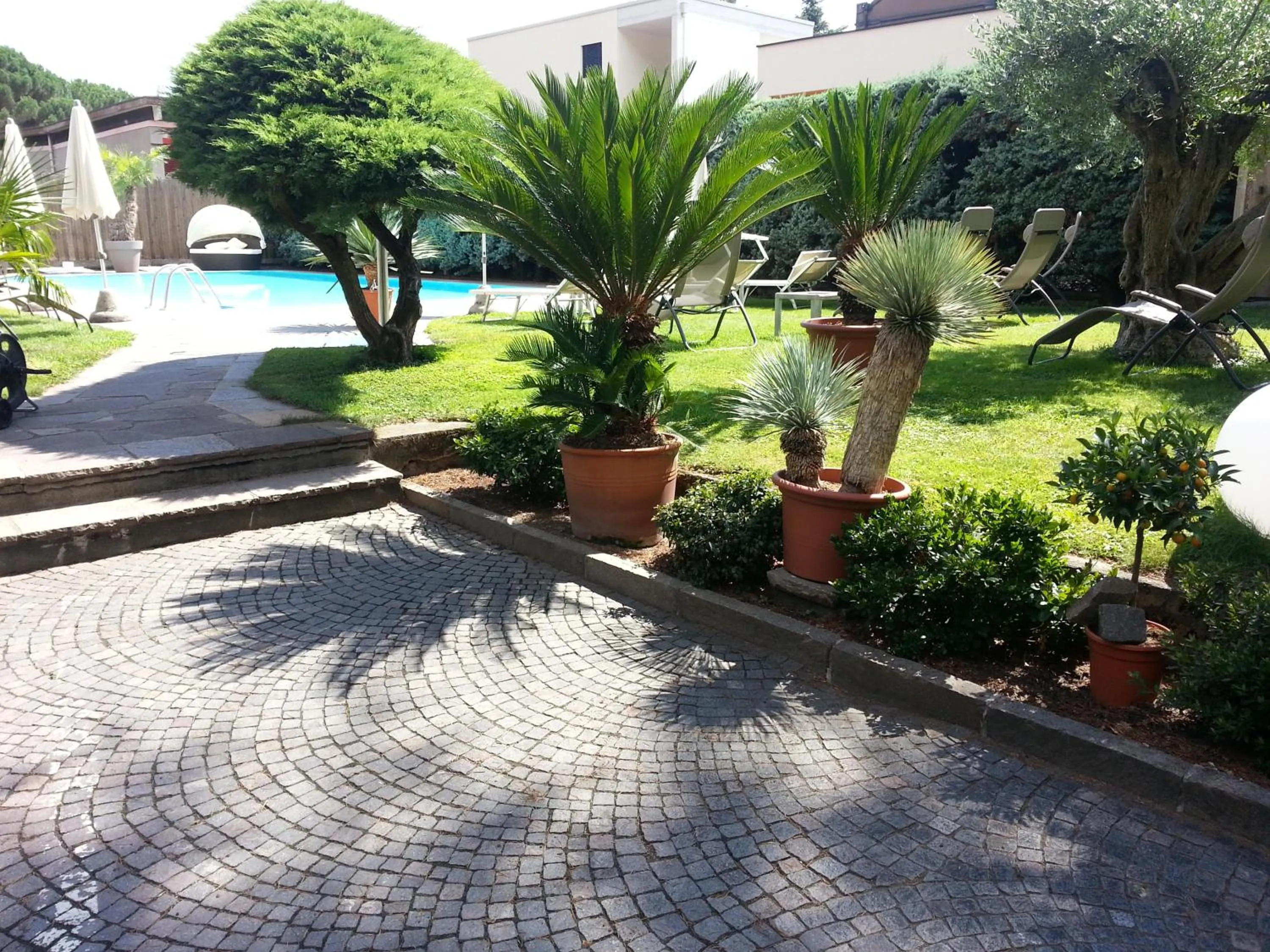 Garden in Hotel Jasmin