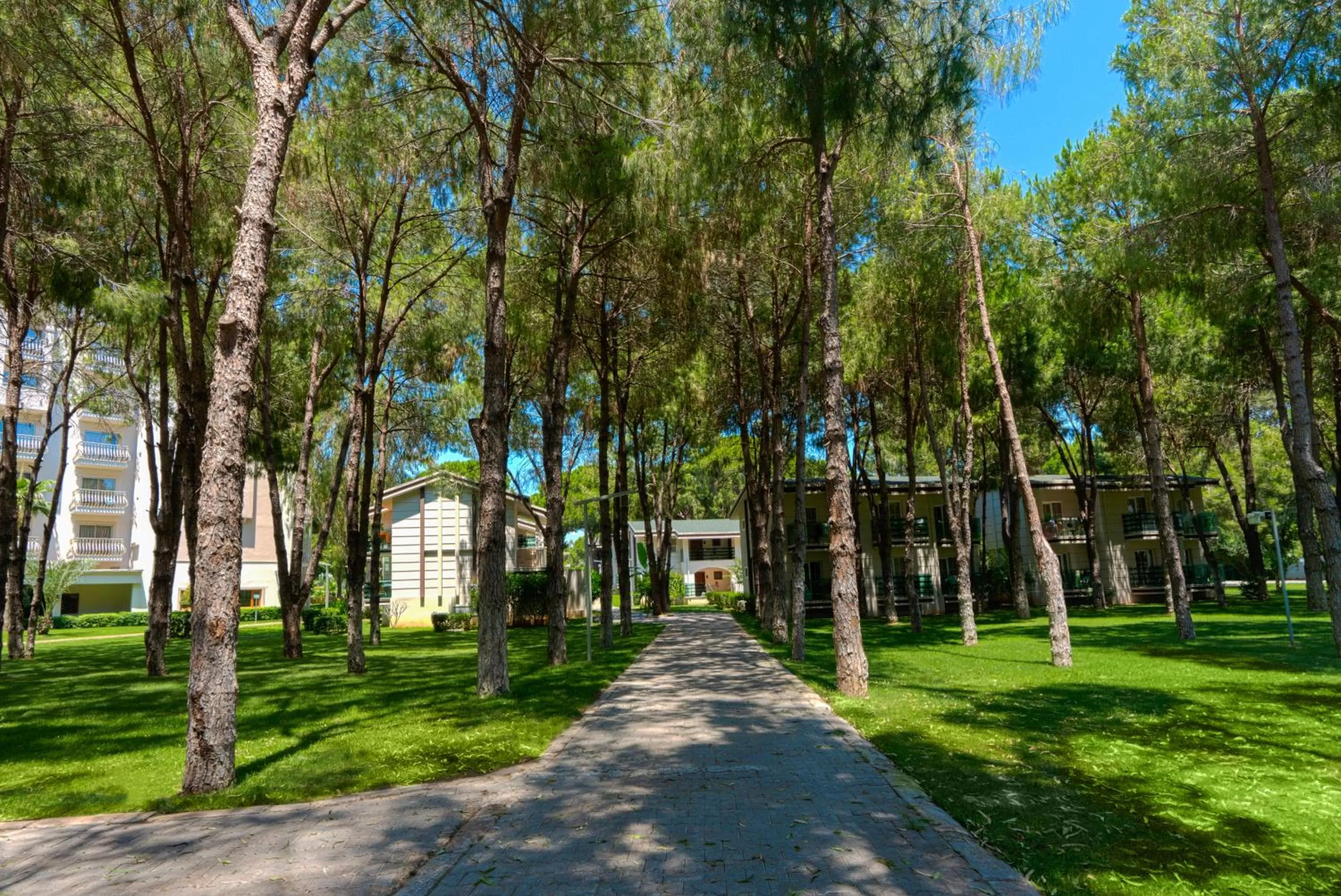 Garden in TUI MAGIC LIFE Masmavi