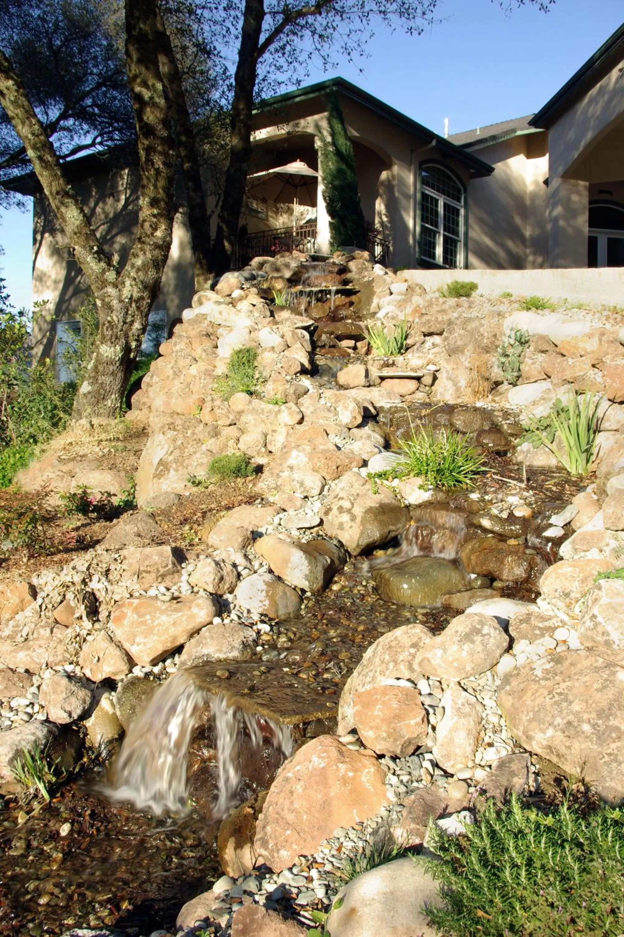 Other in Bella Vista Bed and Breakfast