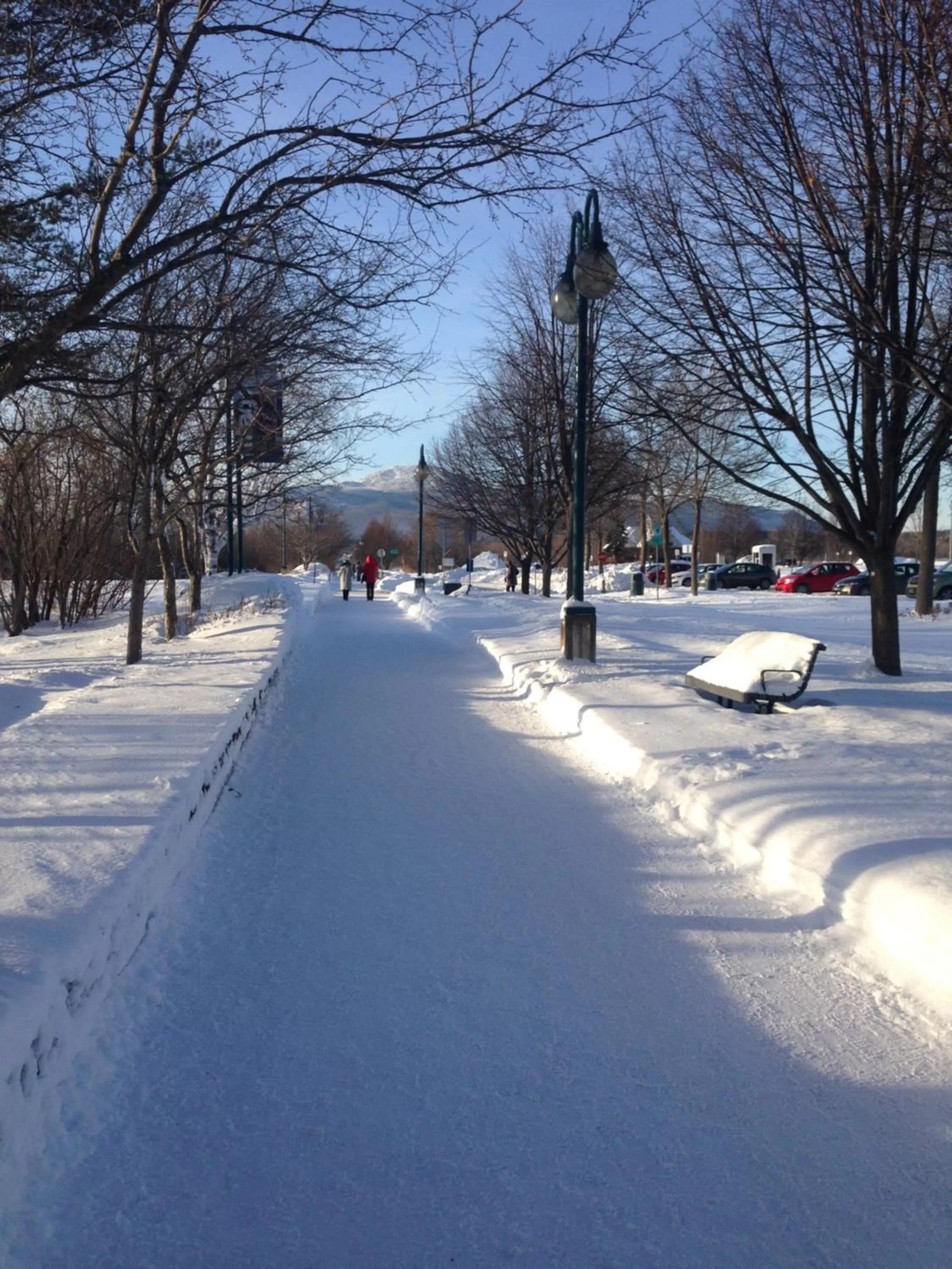 Entertainment in À L'Ancestrale B&B