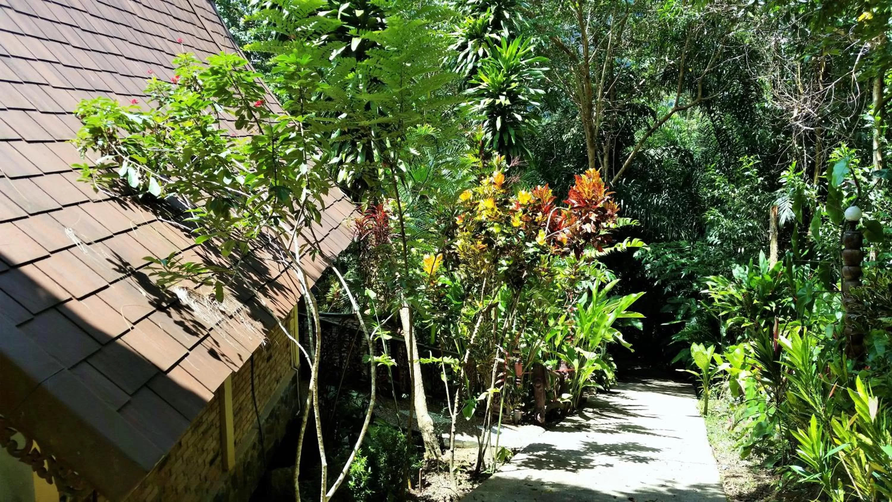 Garden in Khao Sok Las Orquideas Resort