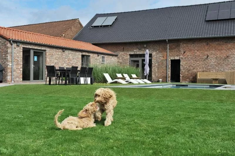 Property Building in B&B Het Vuchterhof