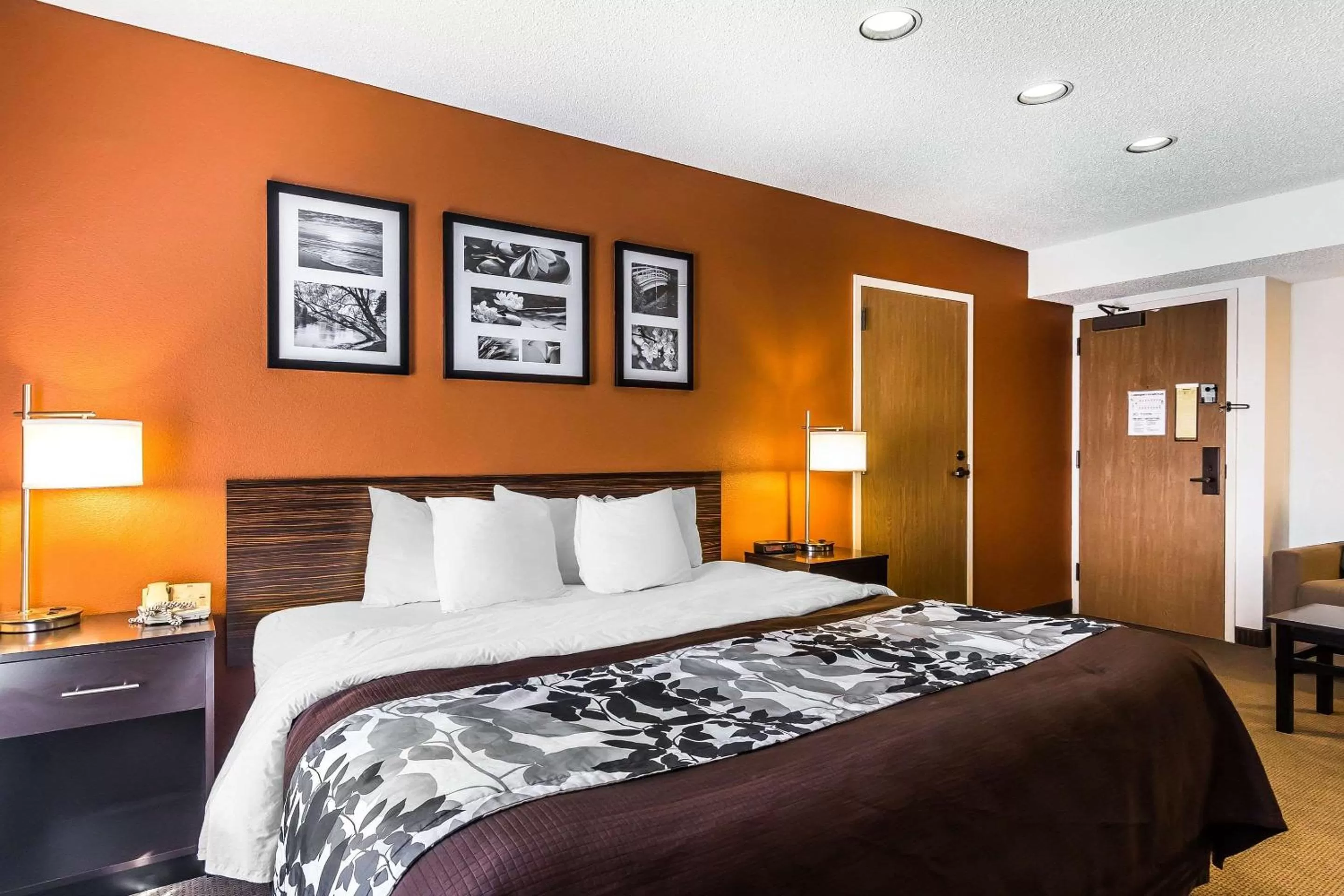 Bed in Sleep Inn Springfield South I60 near Medical District