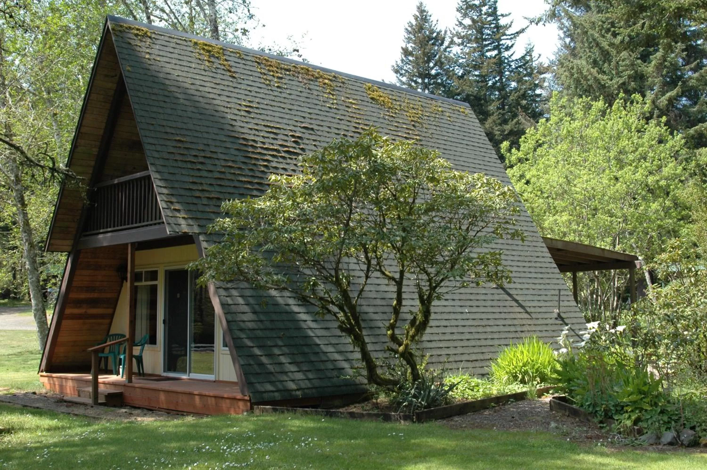 Park Motel and Cabins