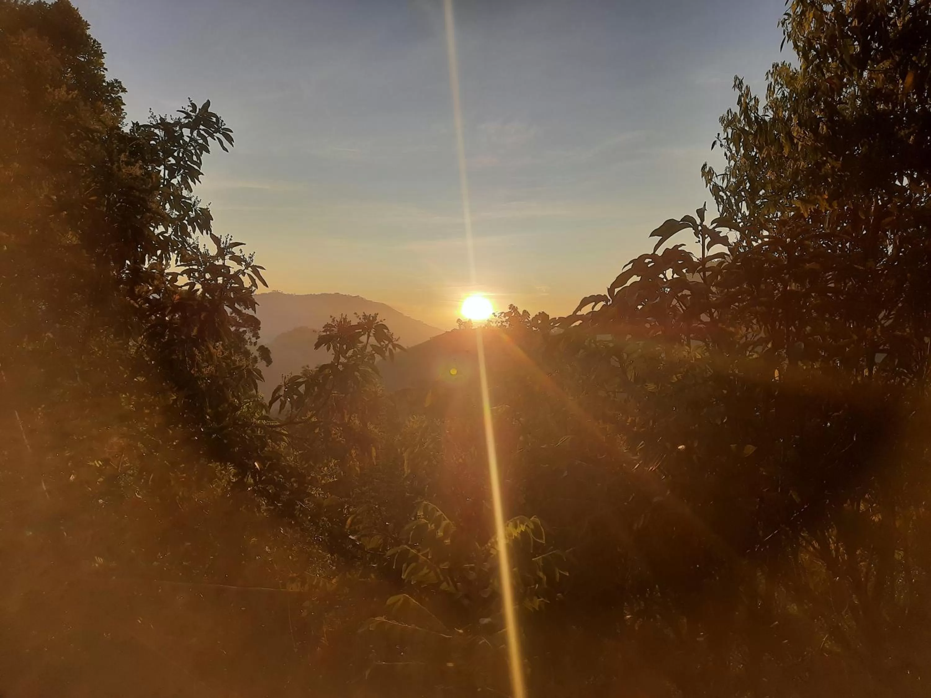 View (from property/room) in Malithis lodge