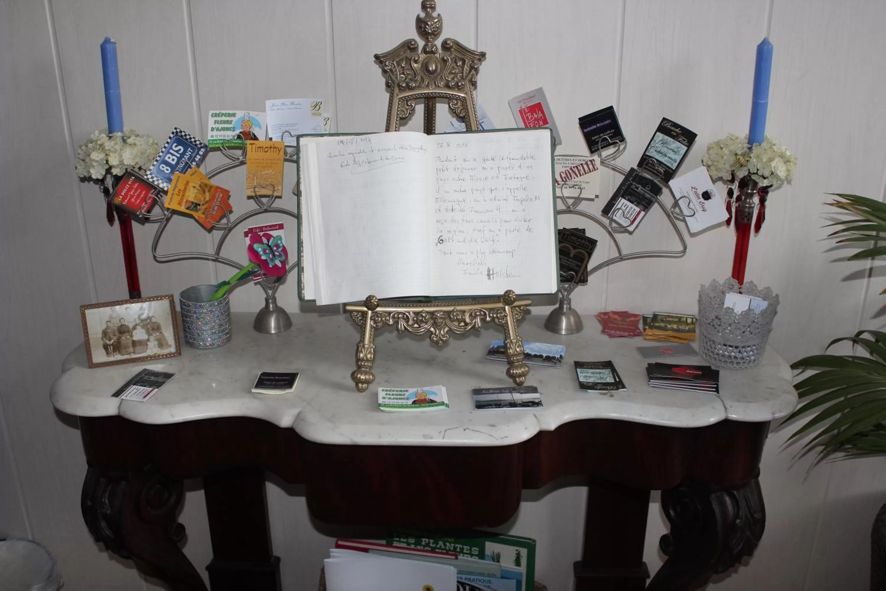 Library in La Demeure aux Hortensias