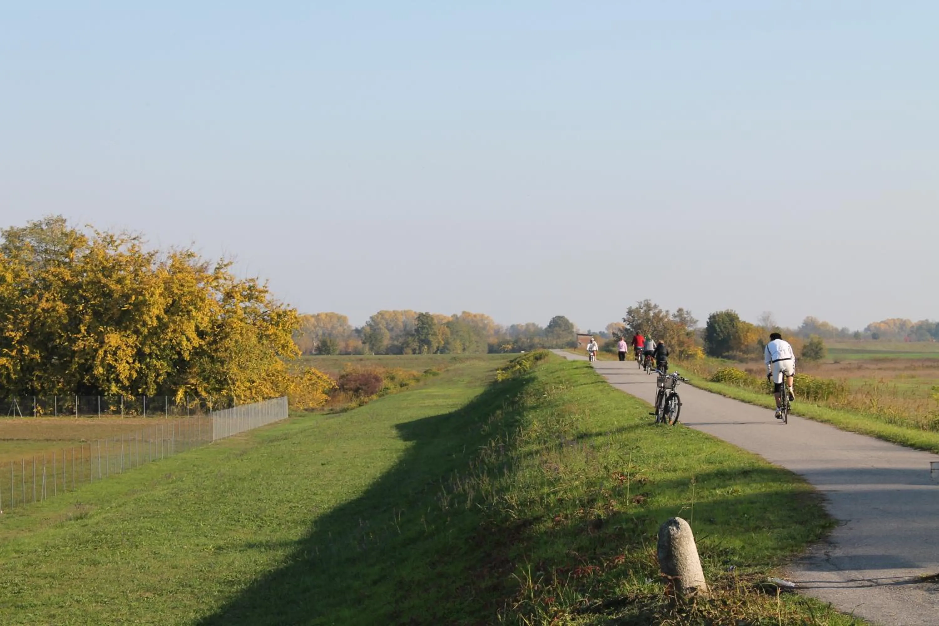 Entertainment in Hotel Cremona Viale