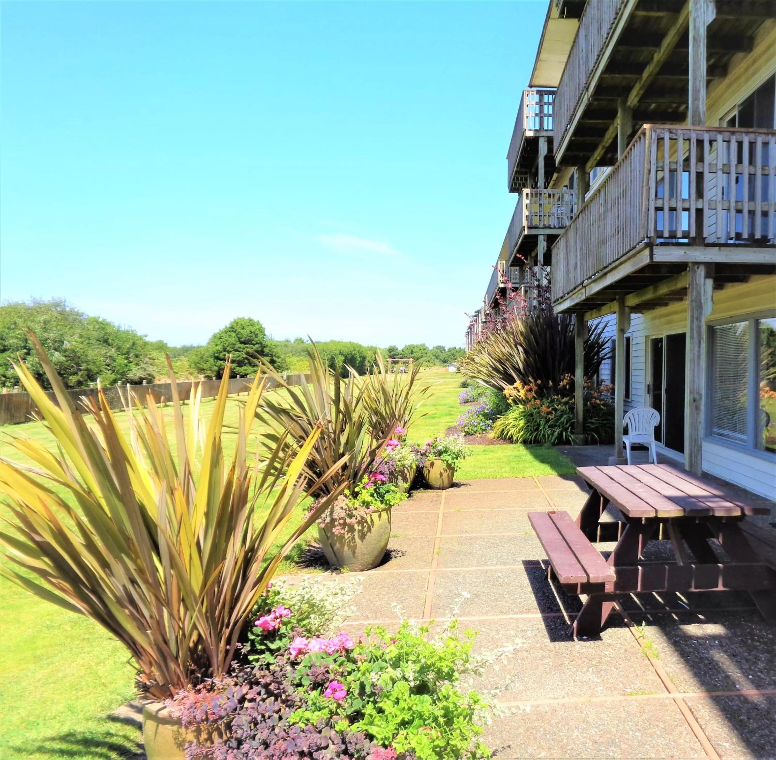 Patio in The Polynesian Resort