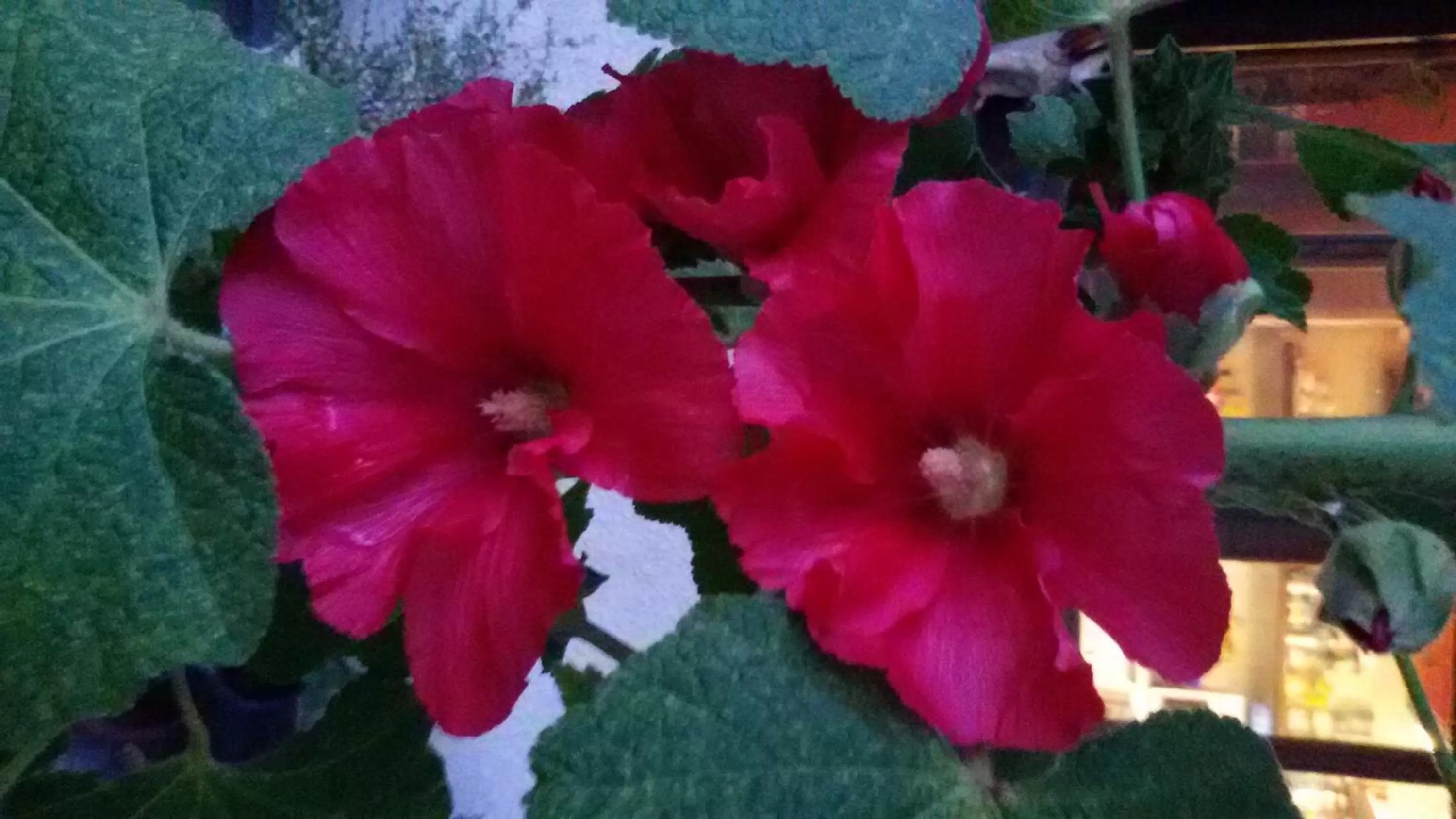 Other in Cascina Torello