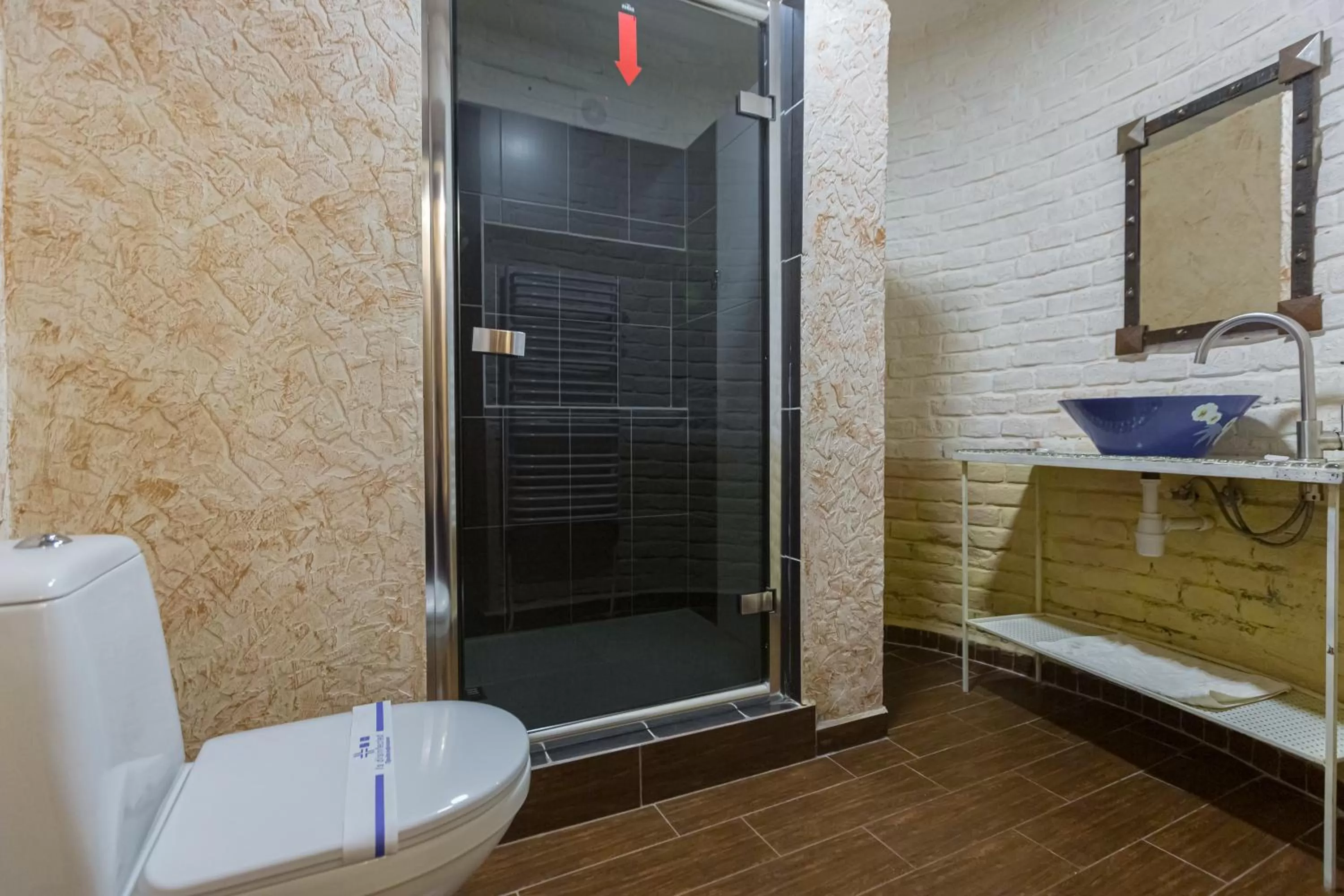 Bathroom in Staryi Krakiv