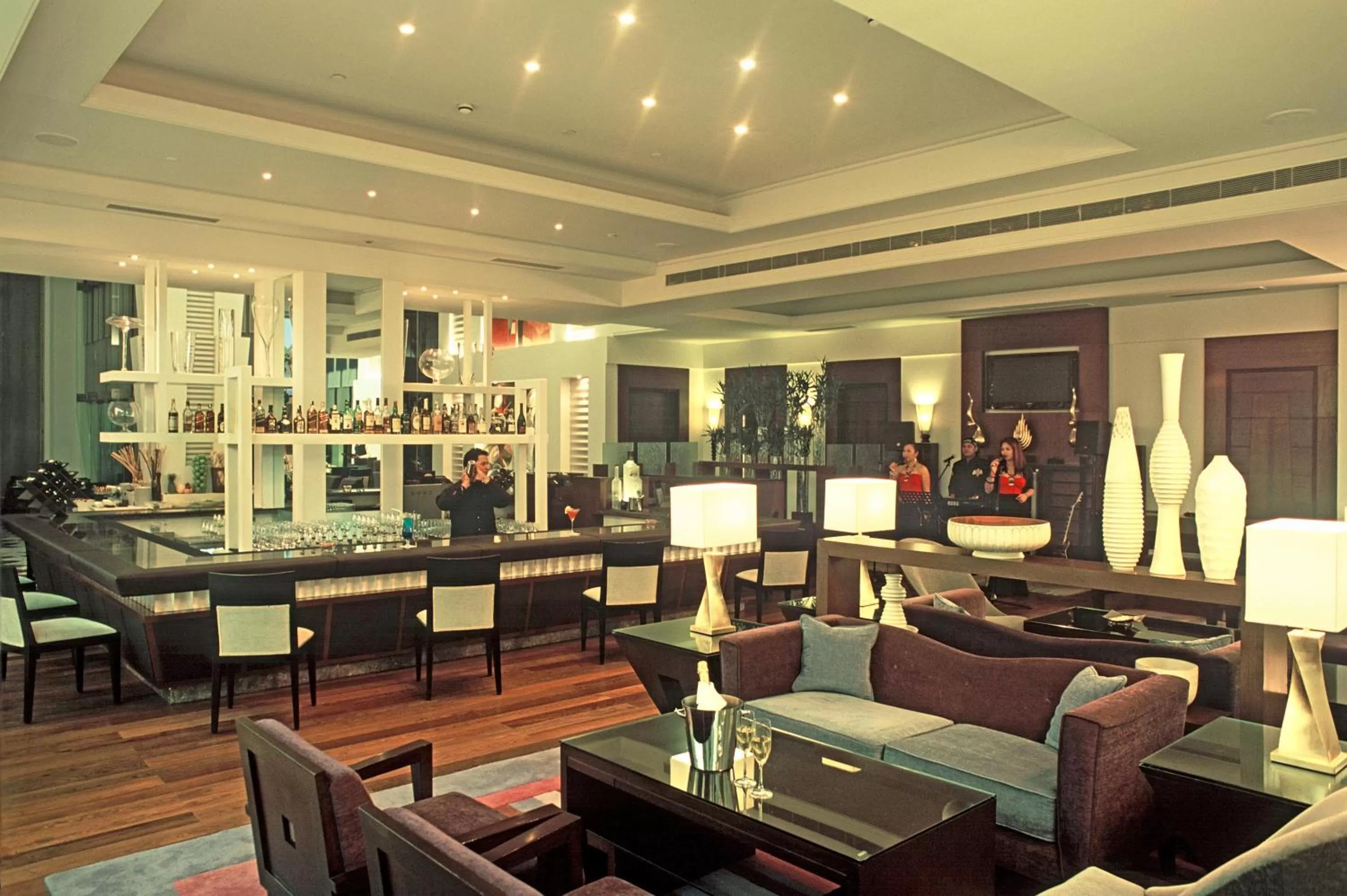 Lounge or bar in Radisson Noida
