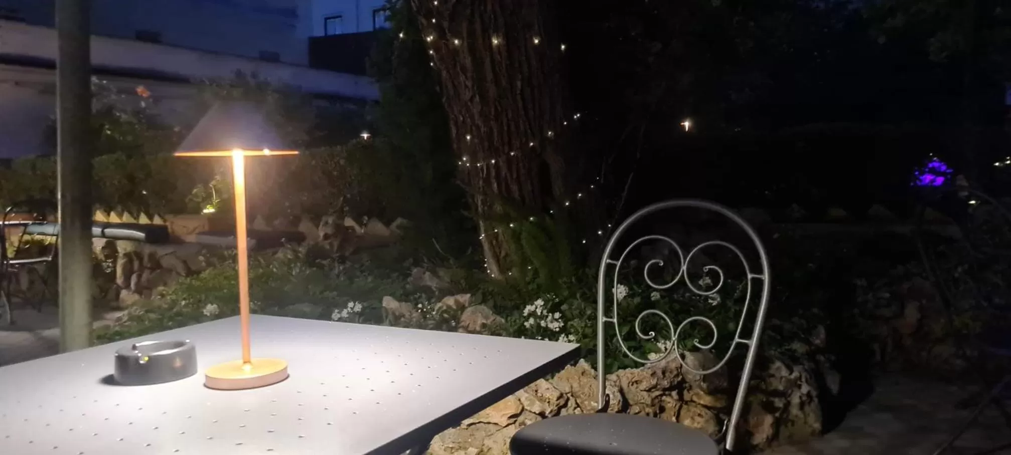 Garden in Villa Riari Garden