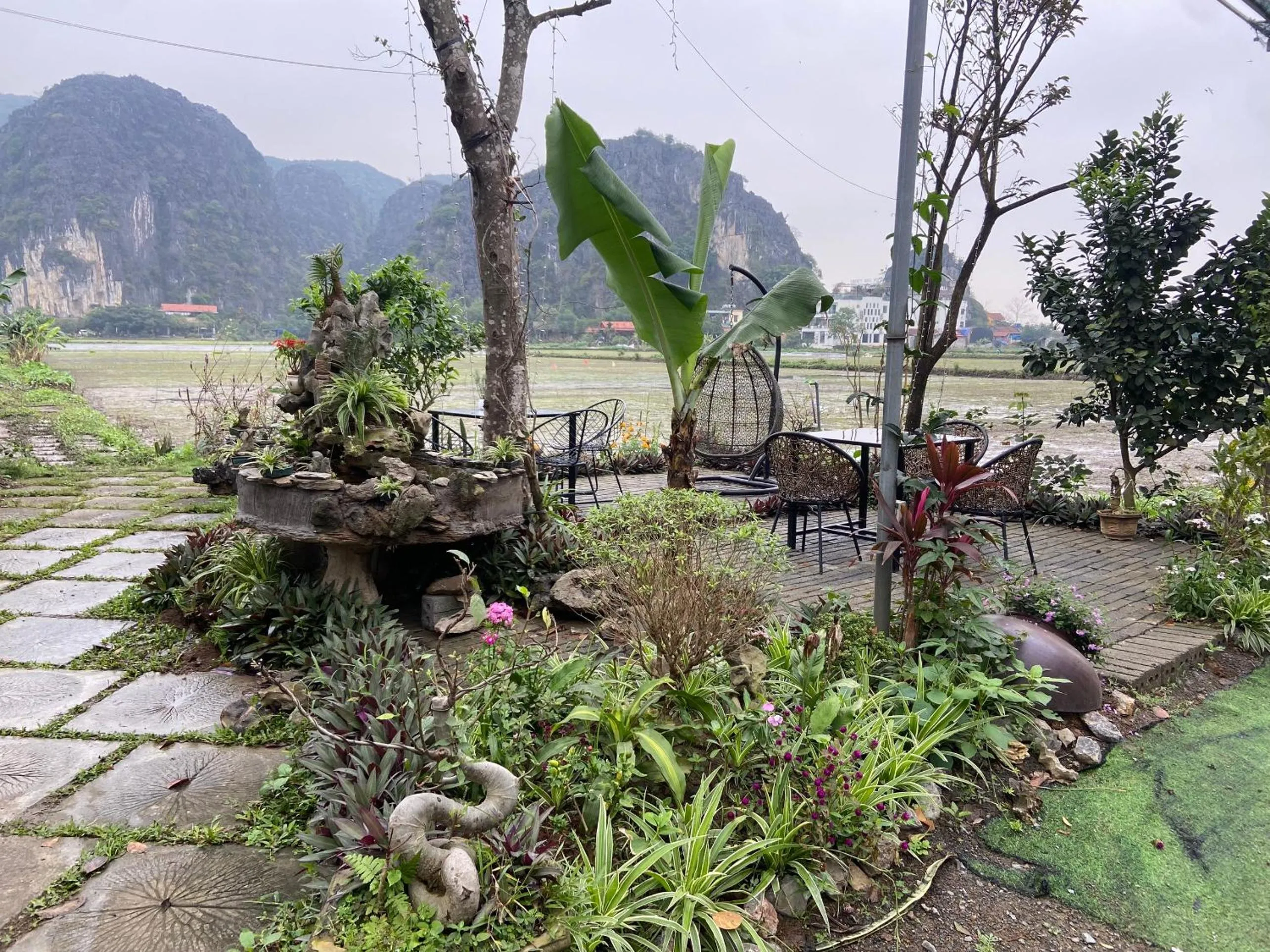 Tam Coc Mountain View Homestay
