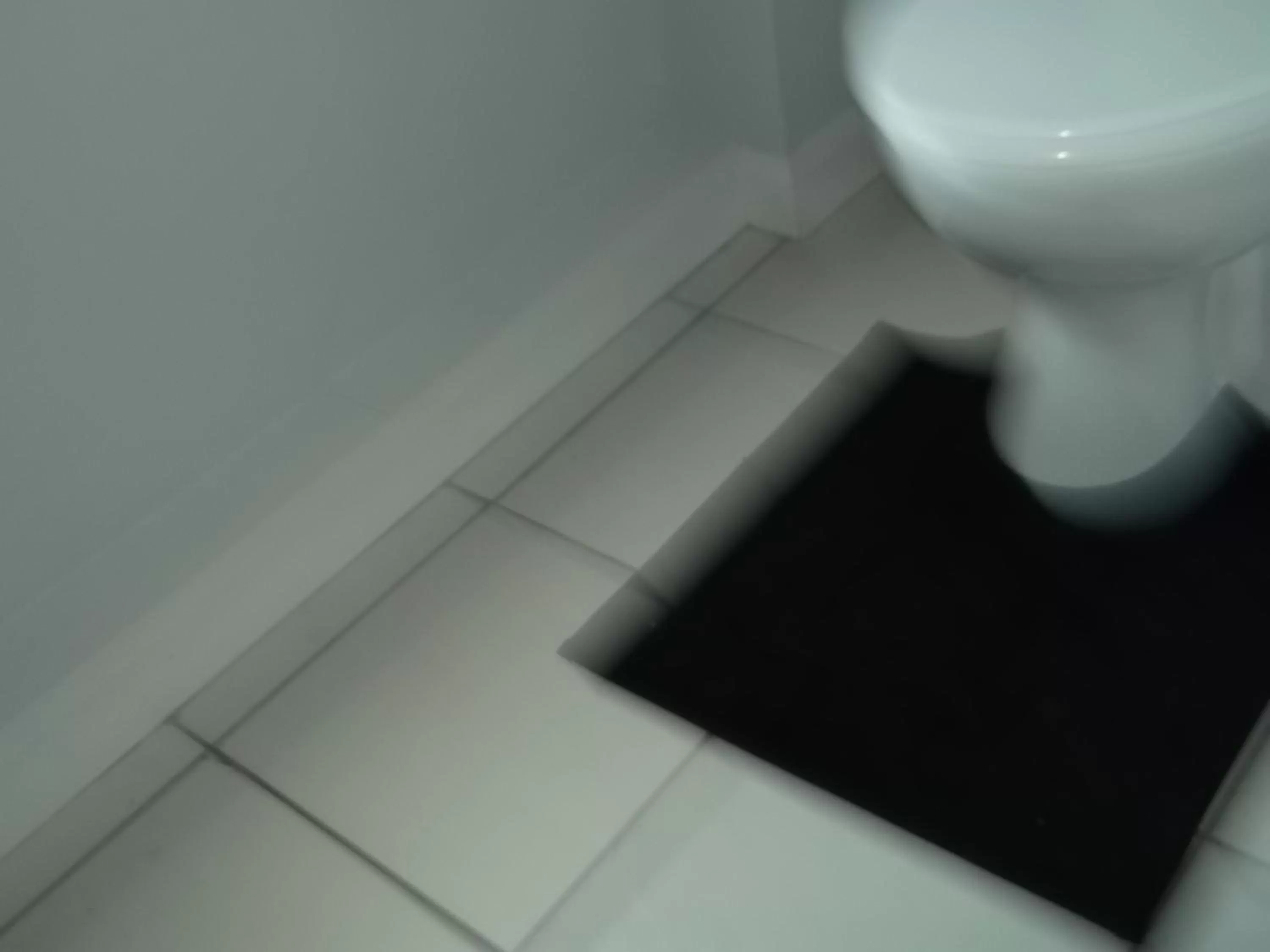 The Lincolnshire Poacher Inn