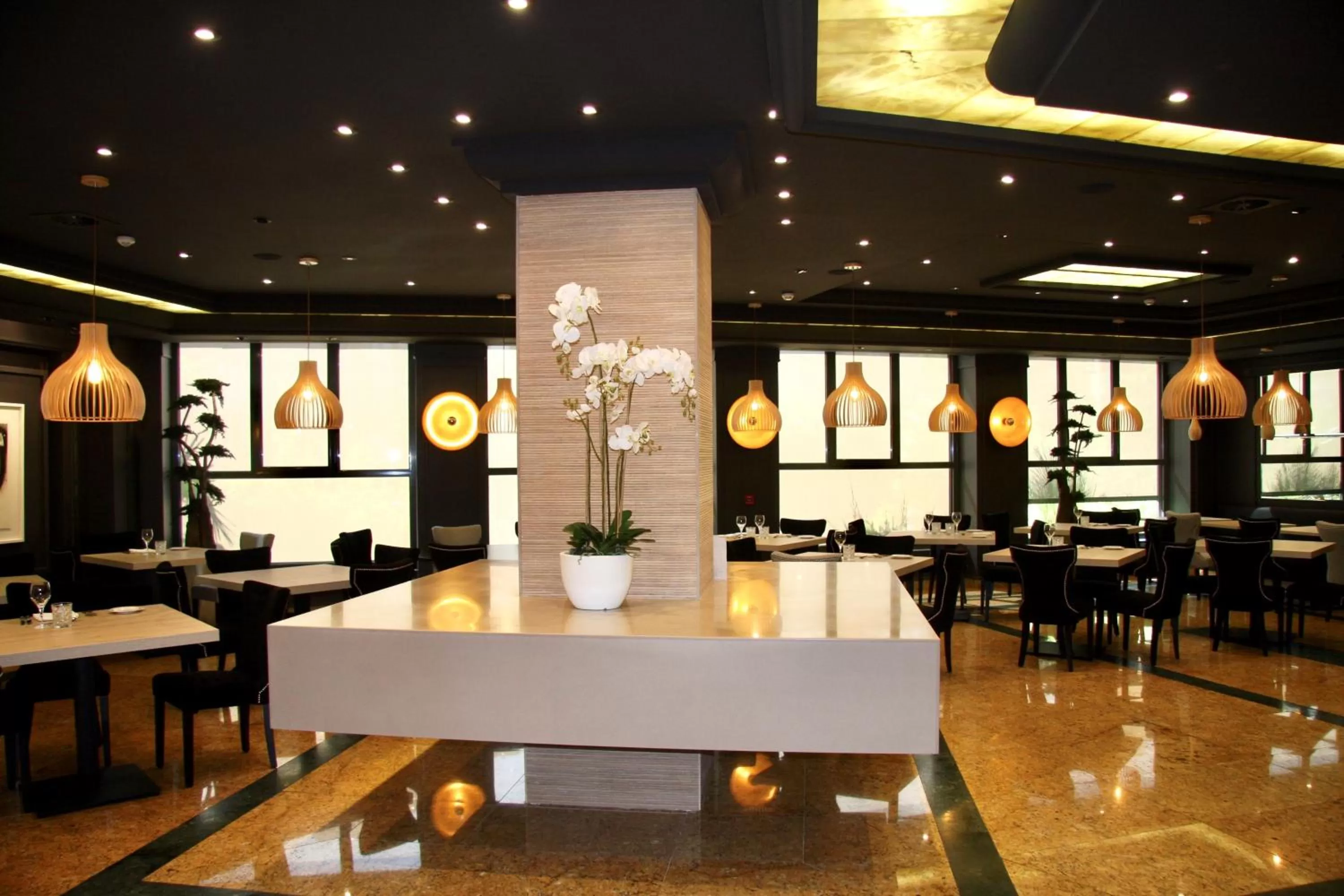 Restaurant/places to eat in Hotel Olid