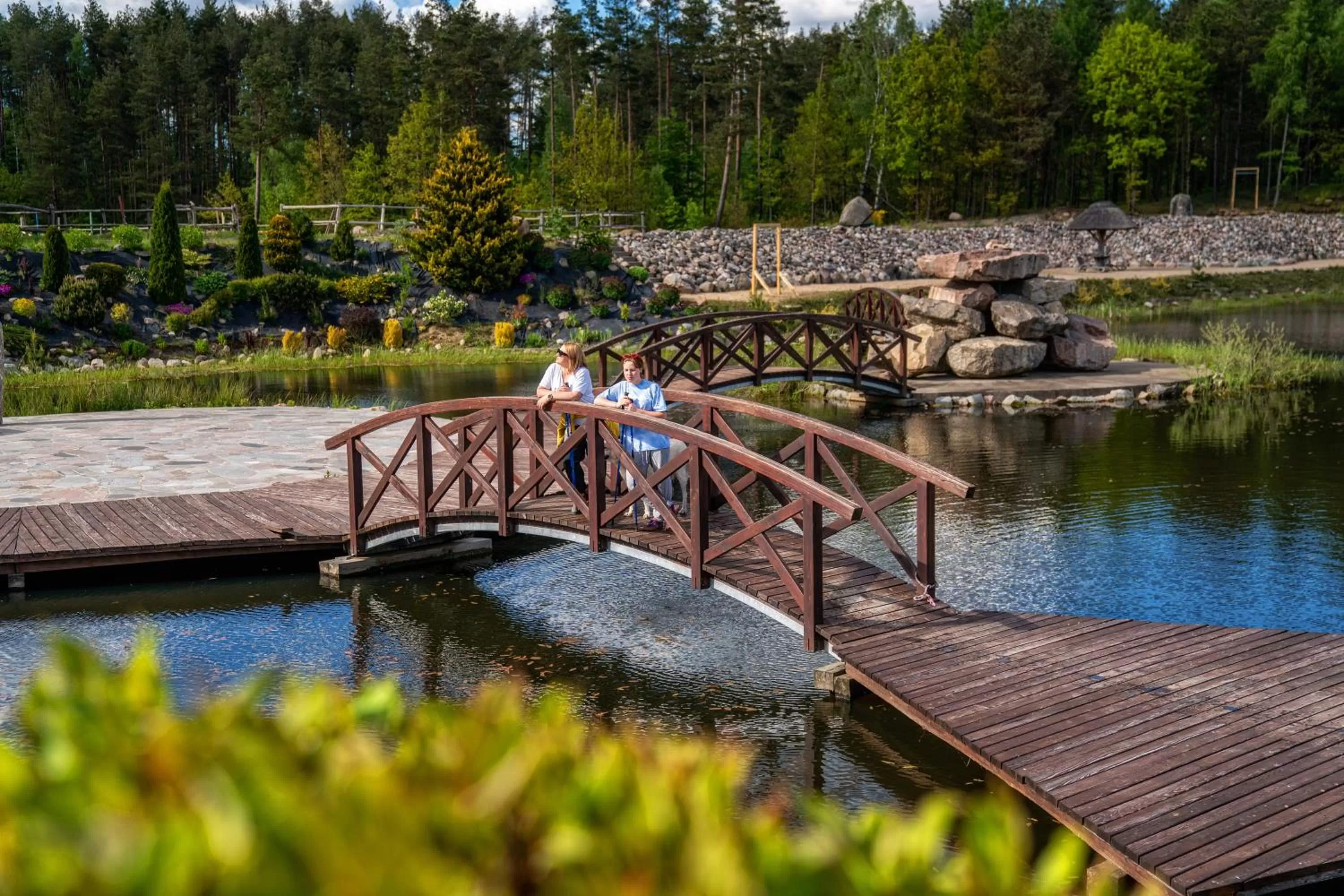 Natural landscape in Hotel Kiston