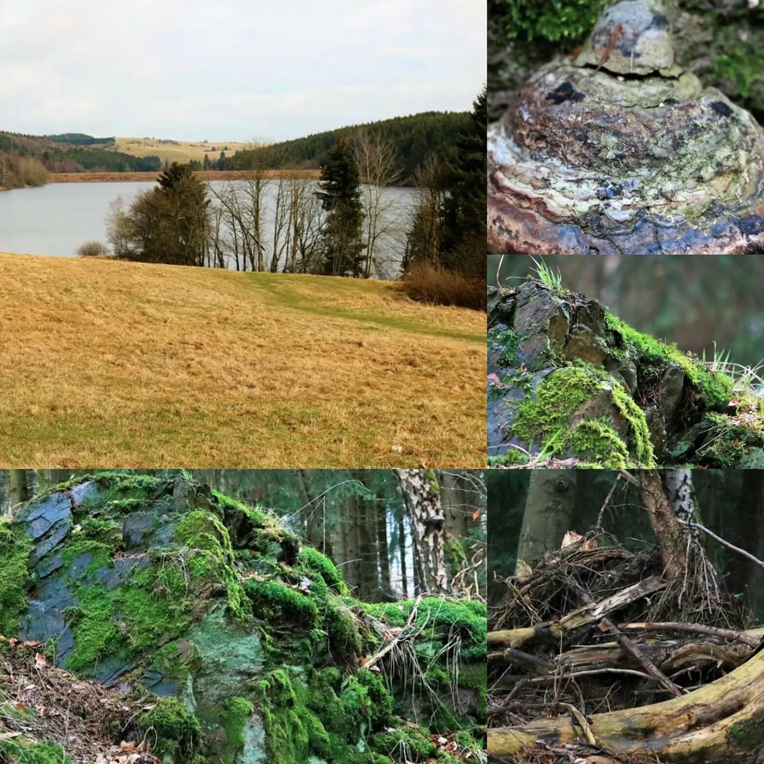 Natural Landscape in Landhaus Tonmühle