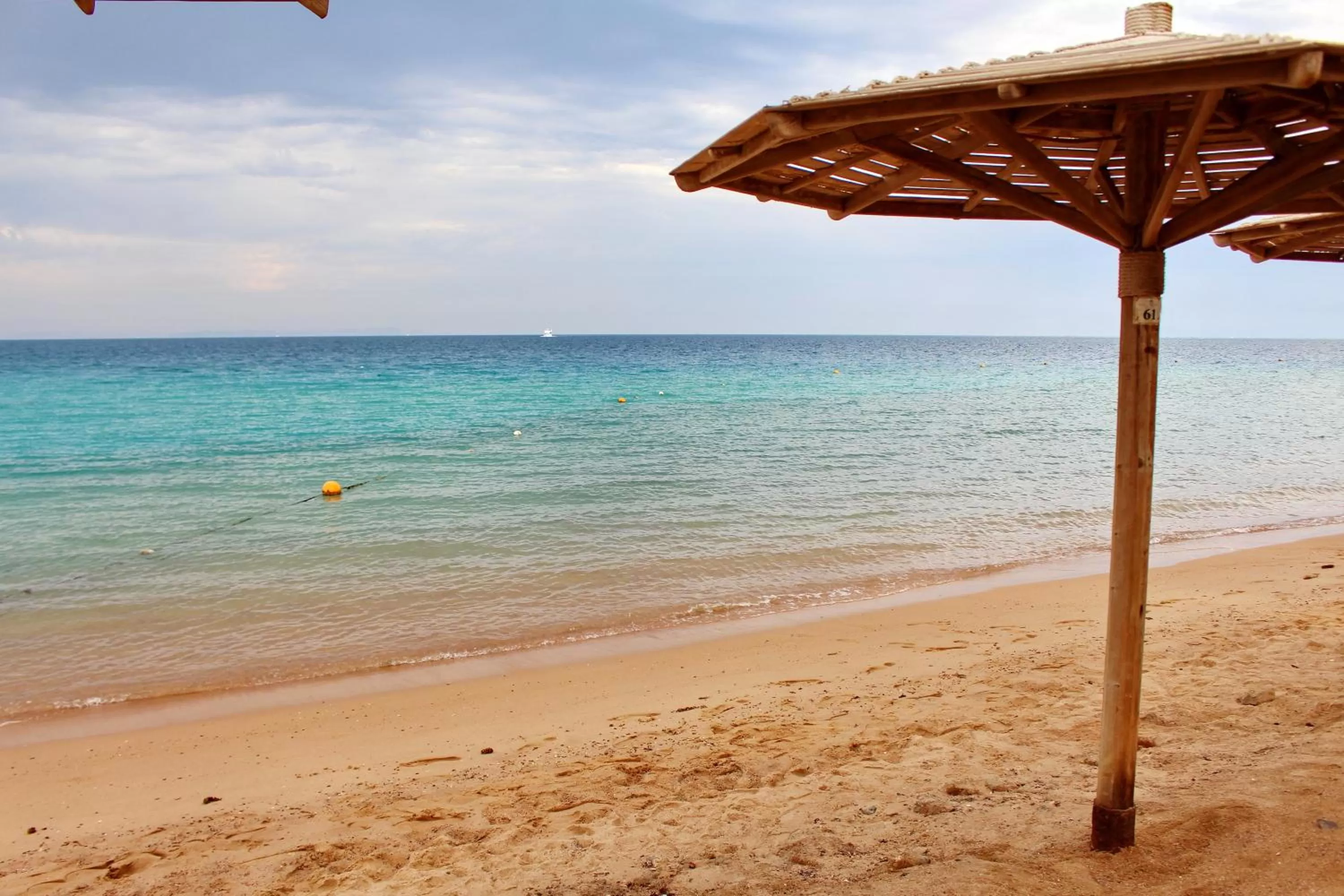 Palm Beach Resort Families and Couples only