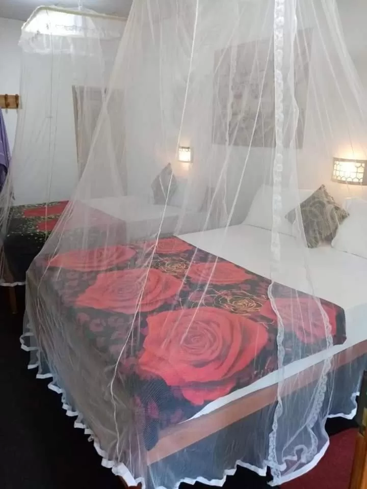 Bed in The Horizon Root Inn