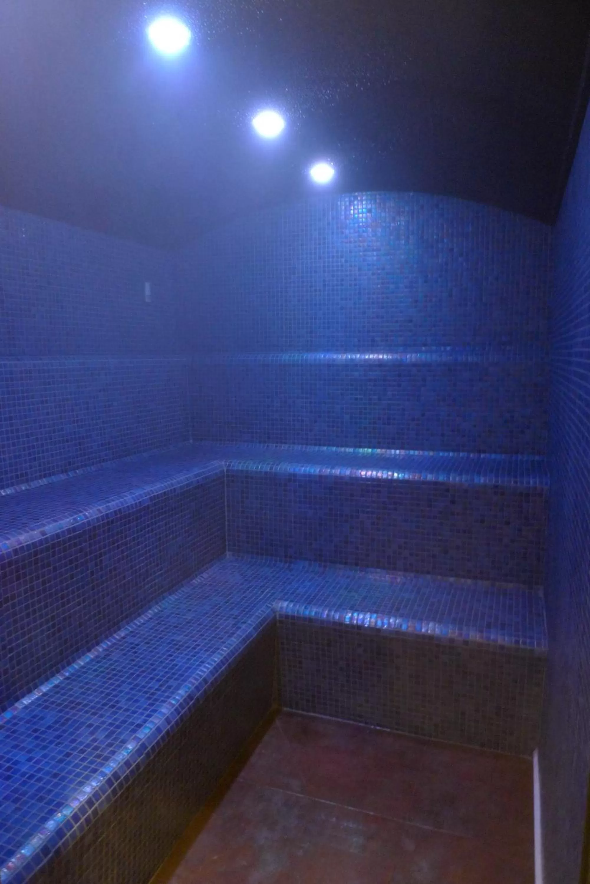 Spa and wellness centre/facilities in Hotel & SPA Niunit