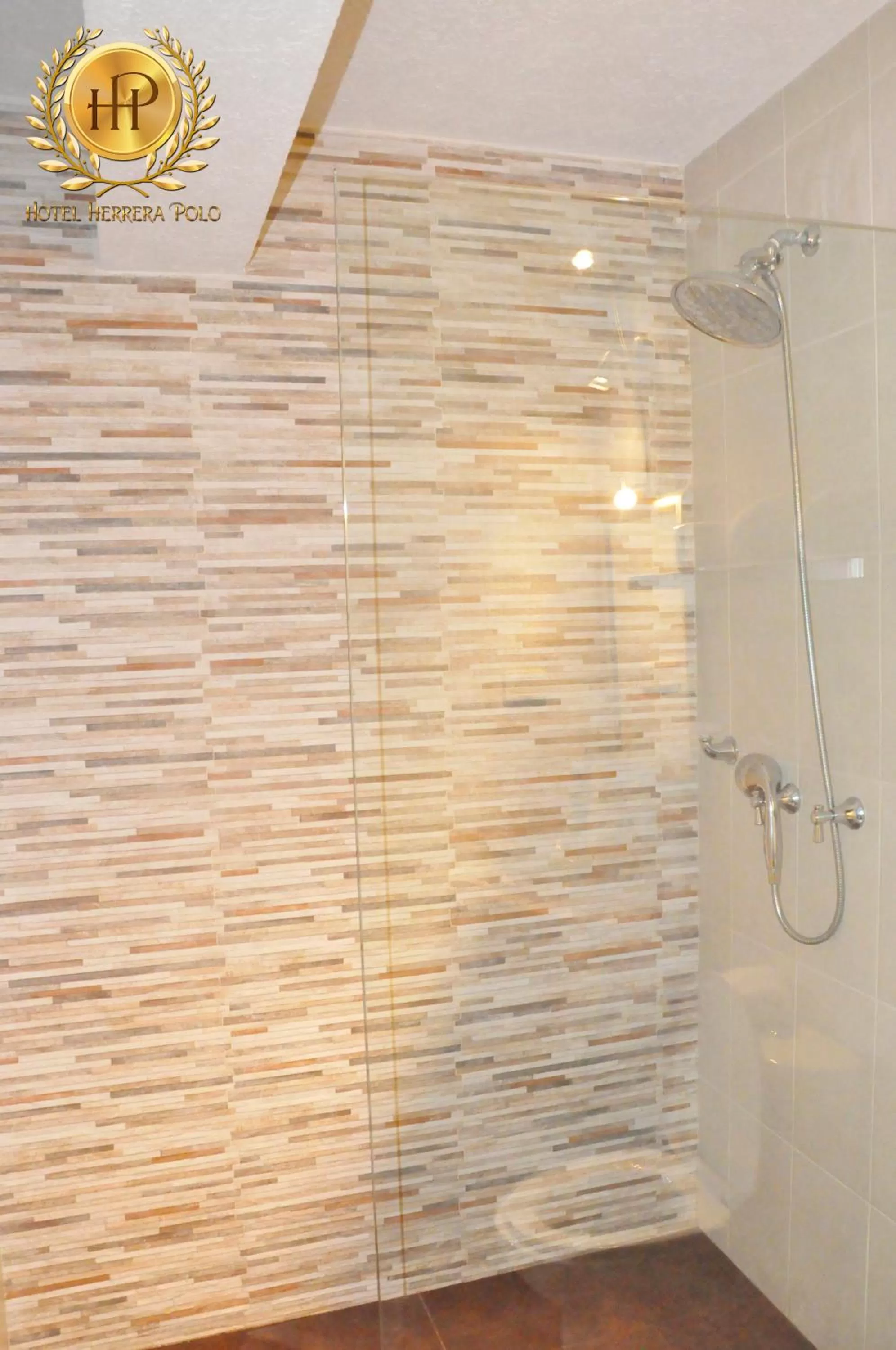 Shower, Bathroom in Hotel Herrera Polo
