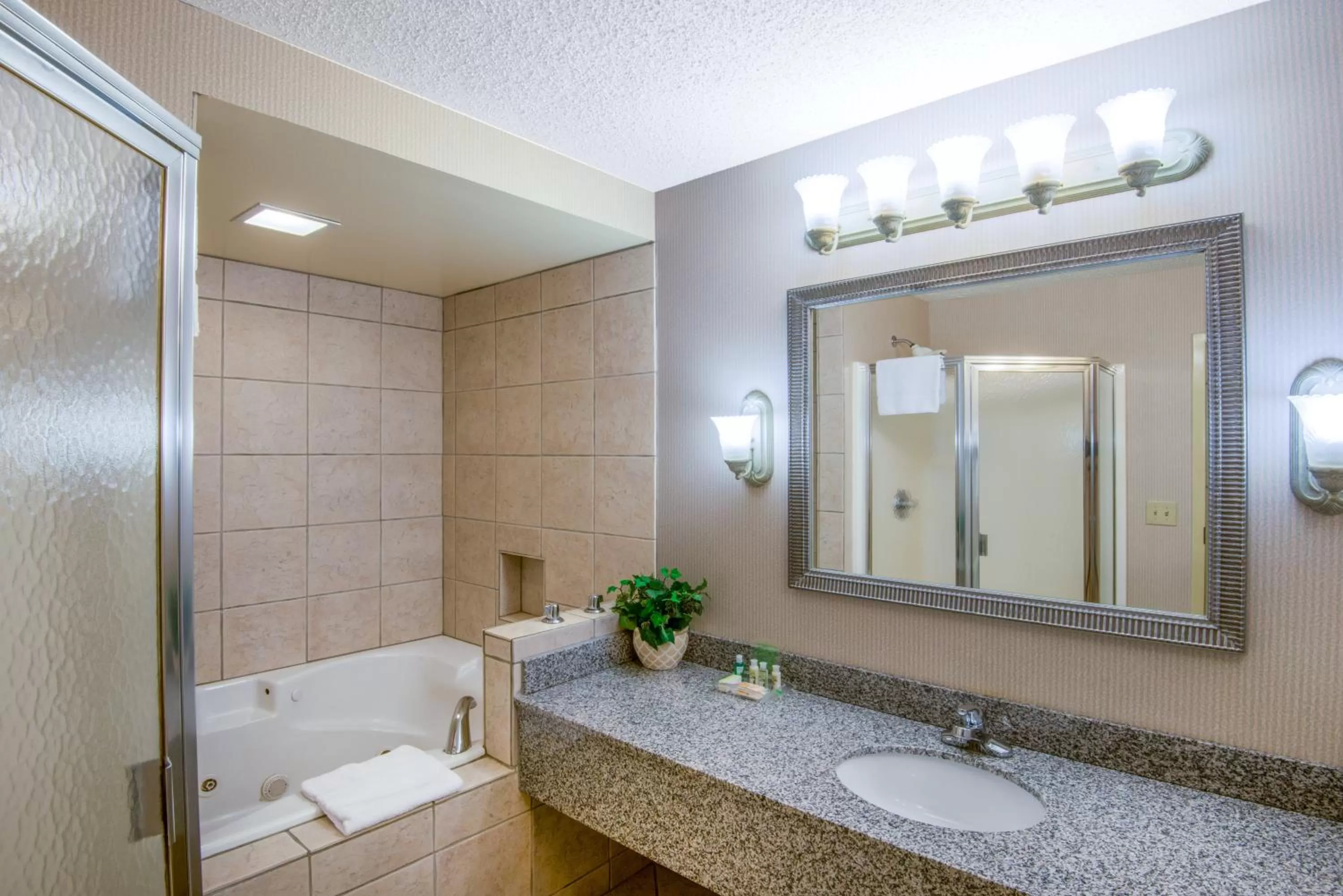 Bathroom in Holiday Inn Riverton-Convention Center by IHG