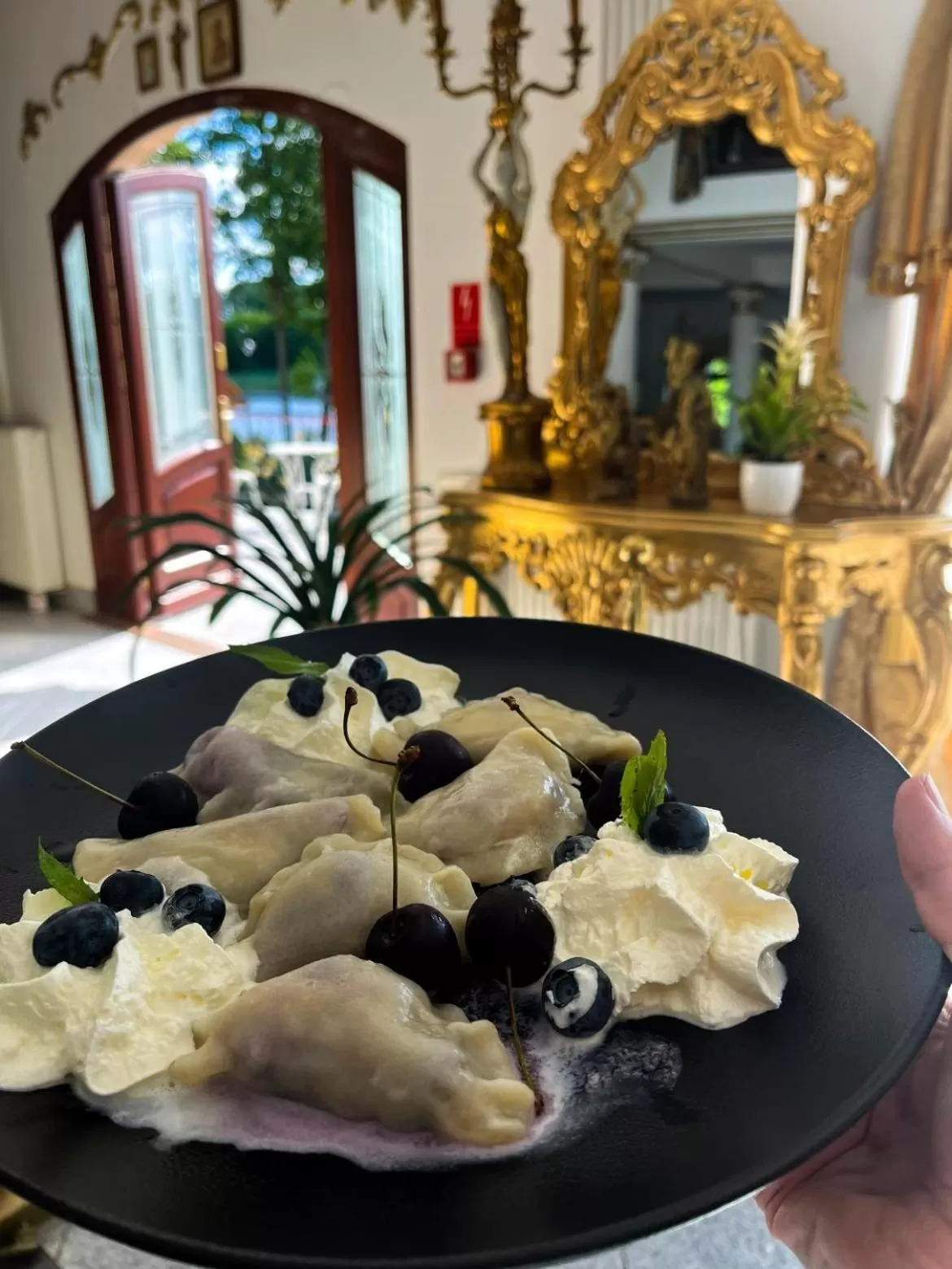 Pałac na wodzie Falkowski Medical & SPA & Conference