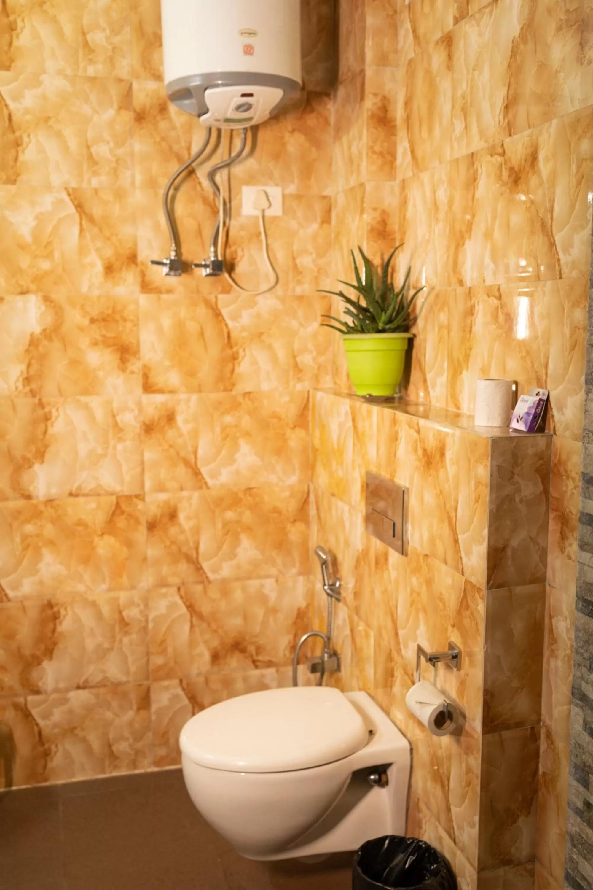 Toilet in Yangthang Heritage