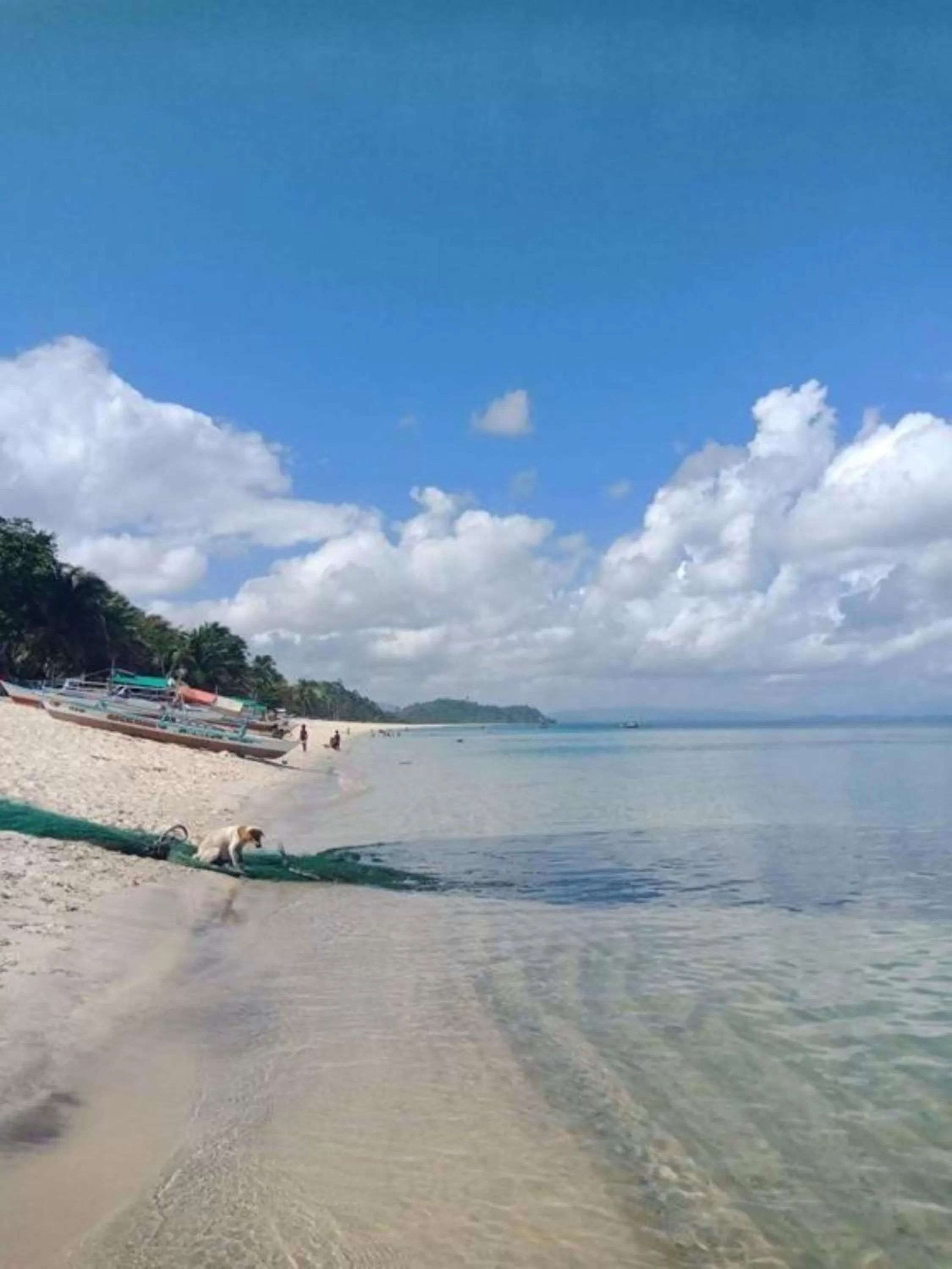 View (from property/room) in Peak View Resort