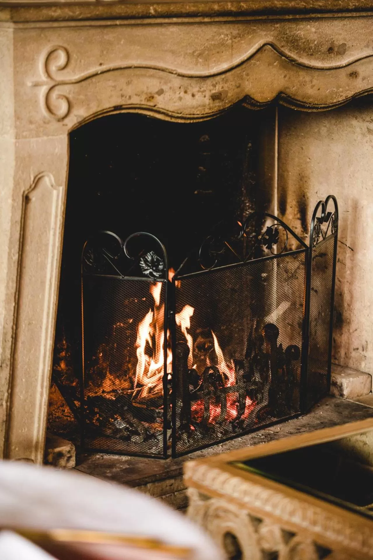 flat iron, Winter in Le Petit Palais D'Aglae