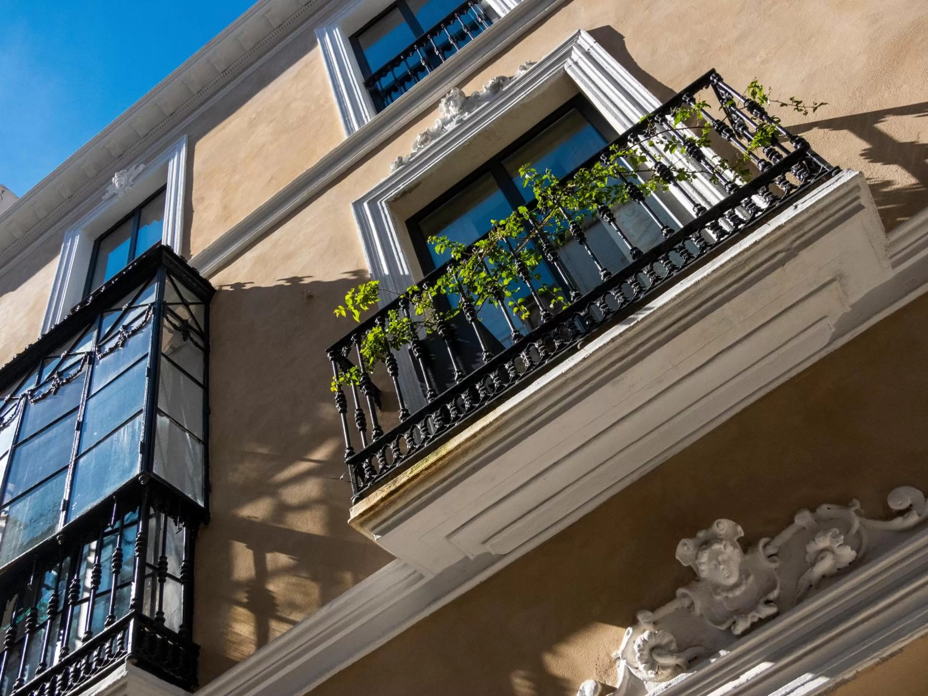Balcony/Terrace in Pájaro Rebelde