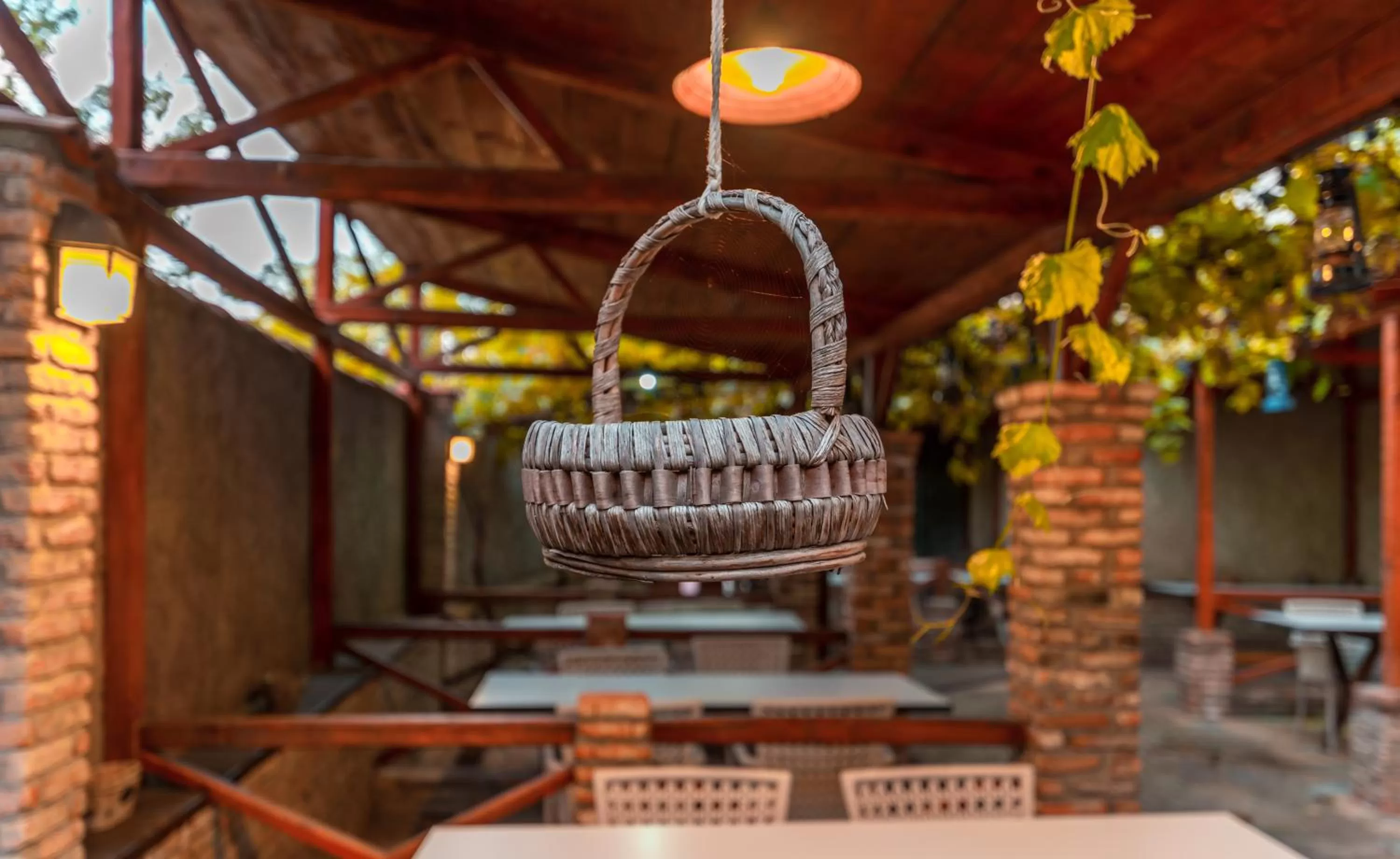 Garden in Kopala Tskneti Hotel