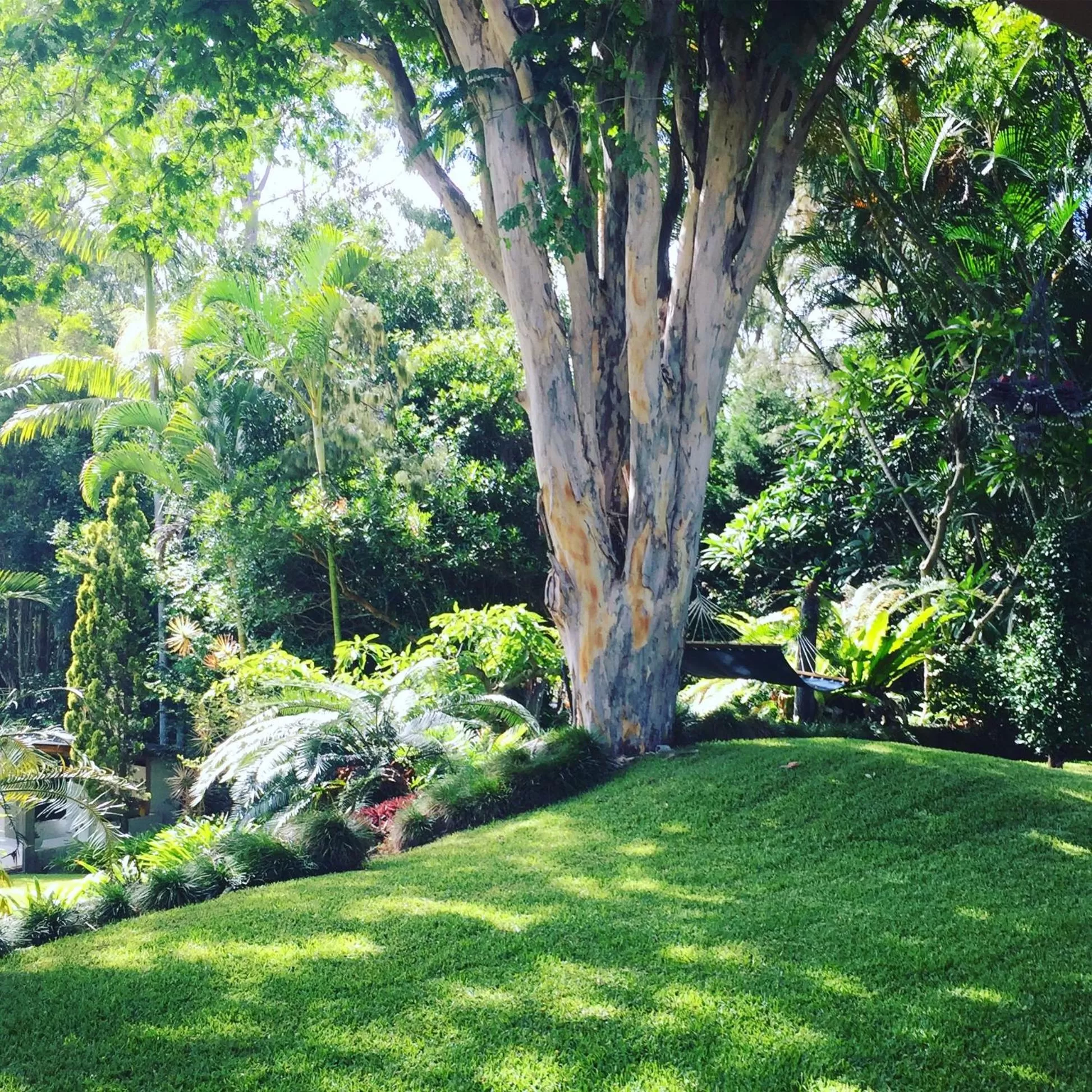 Garden view in Sensom at Sapphire - Adults only B&B