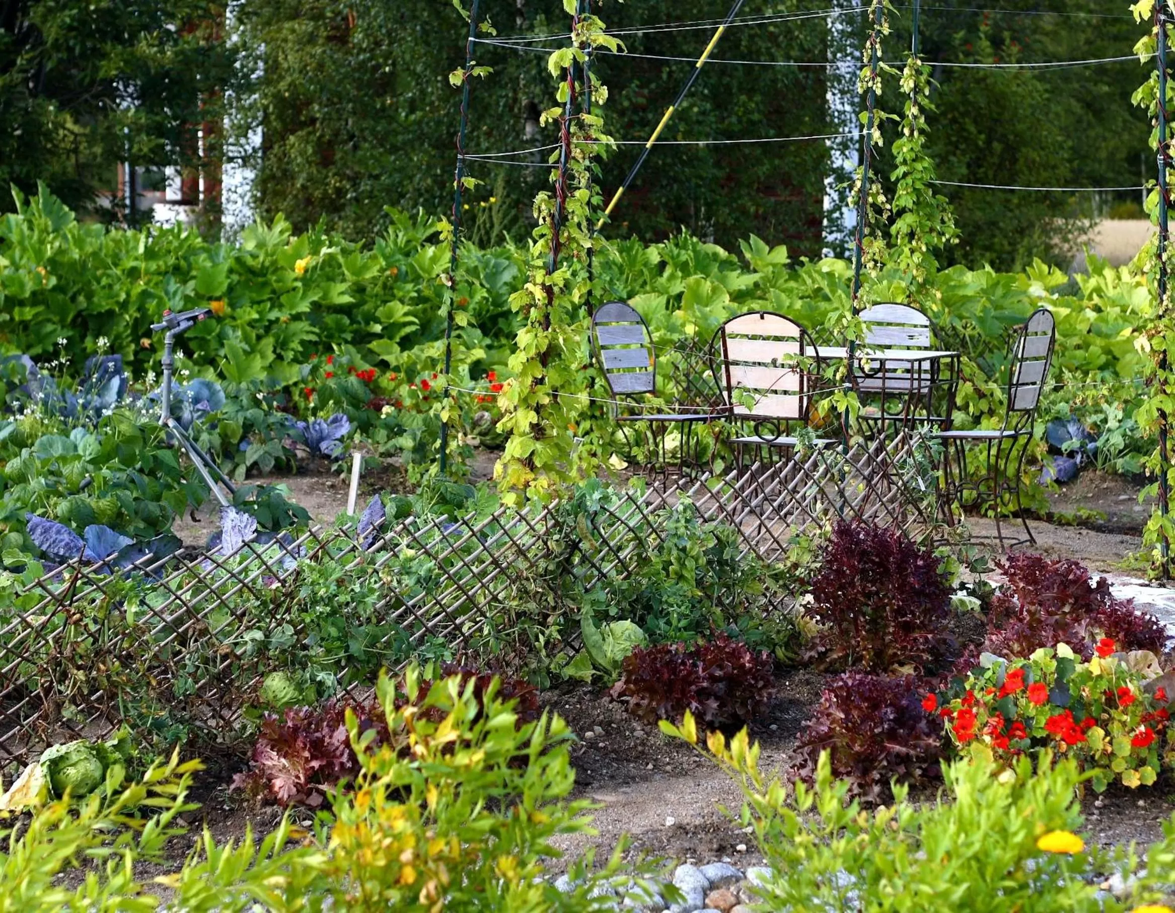 Patio, Garden in Tertin Kartano