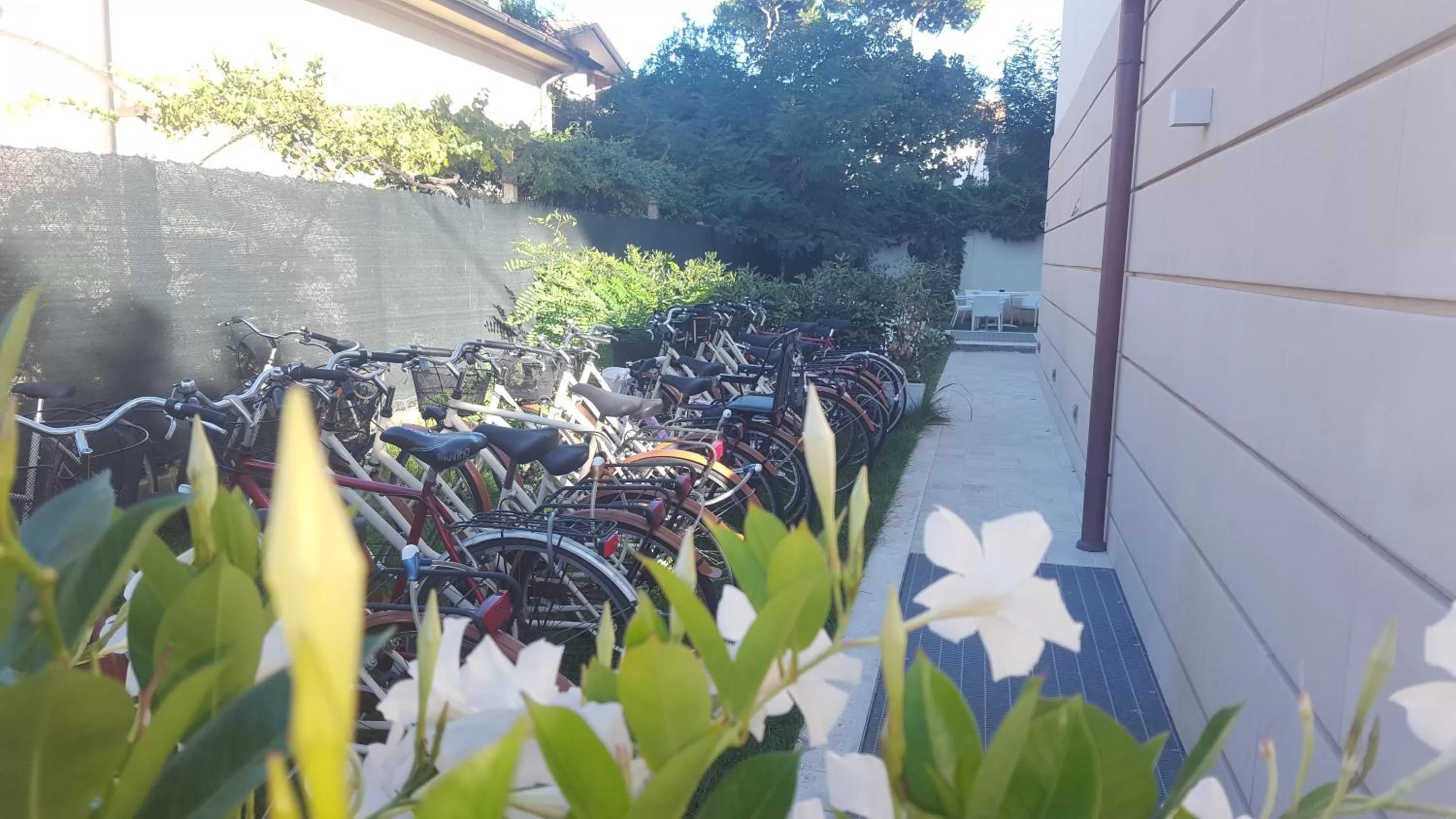 Cycling in Hotel Villa Barsanti