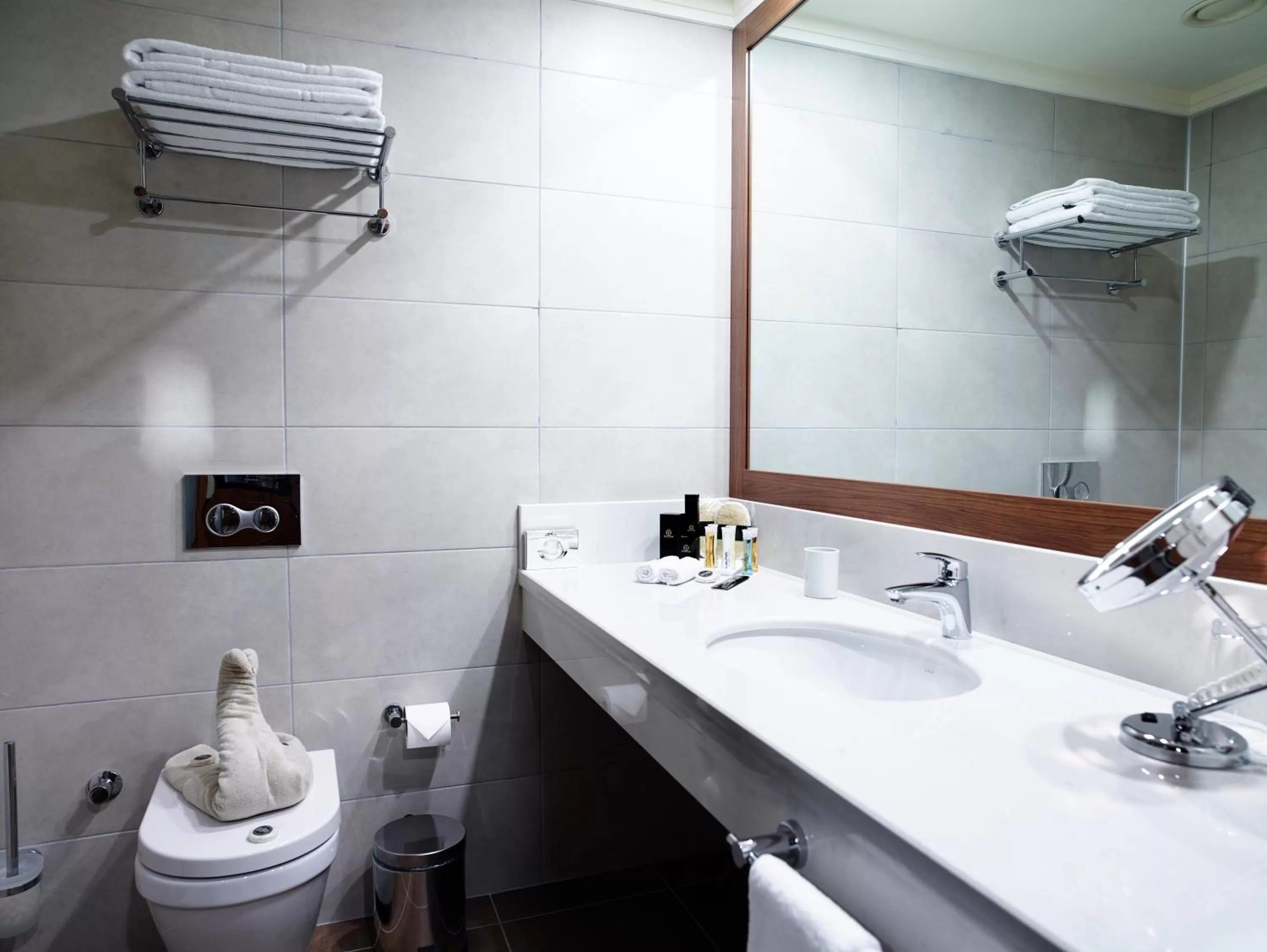 Bathroom in Euro Park Otel