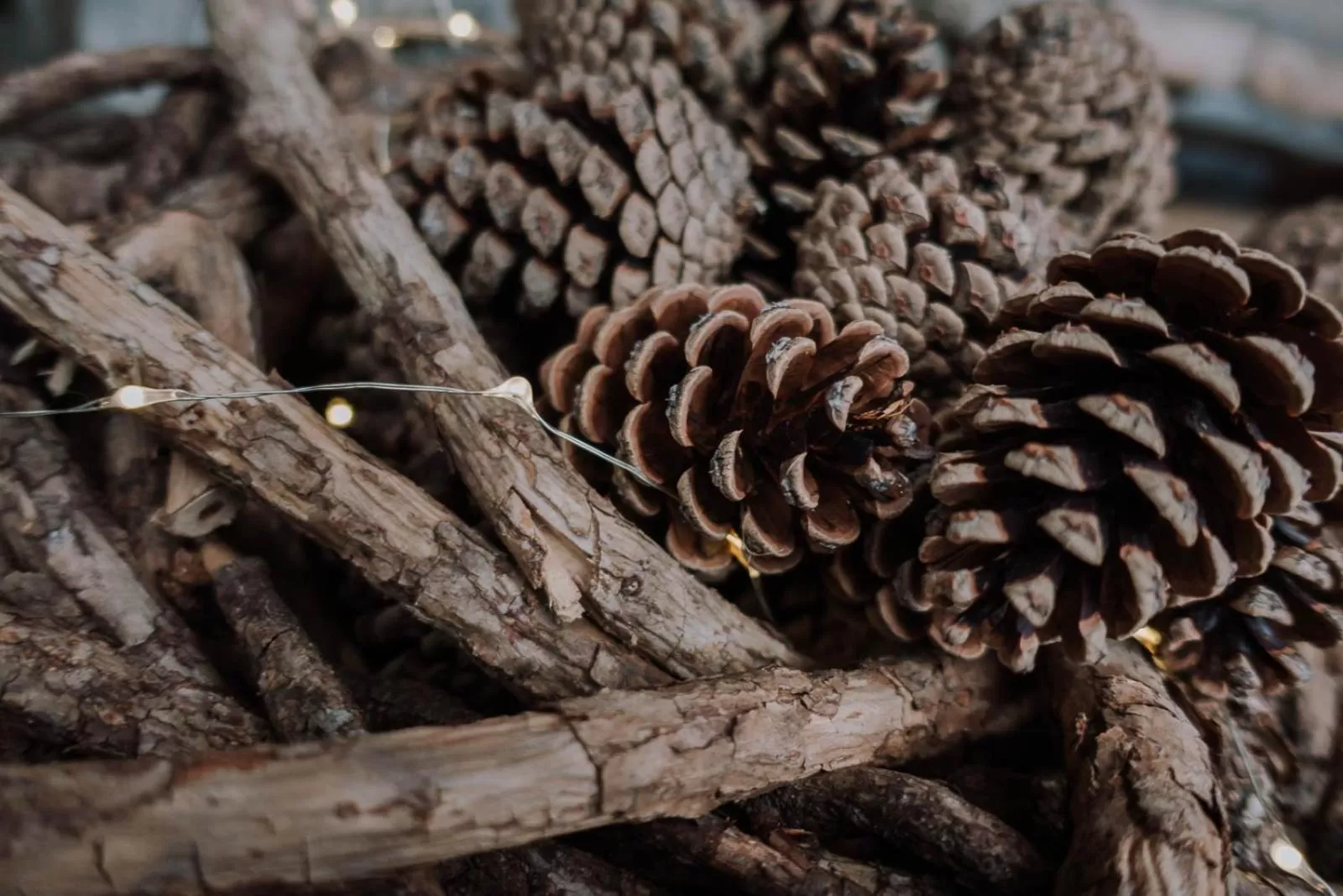 Decorative detail in Berggasthof Hochpröller