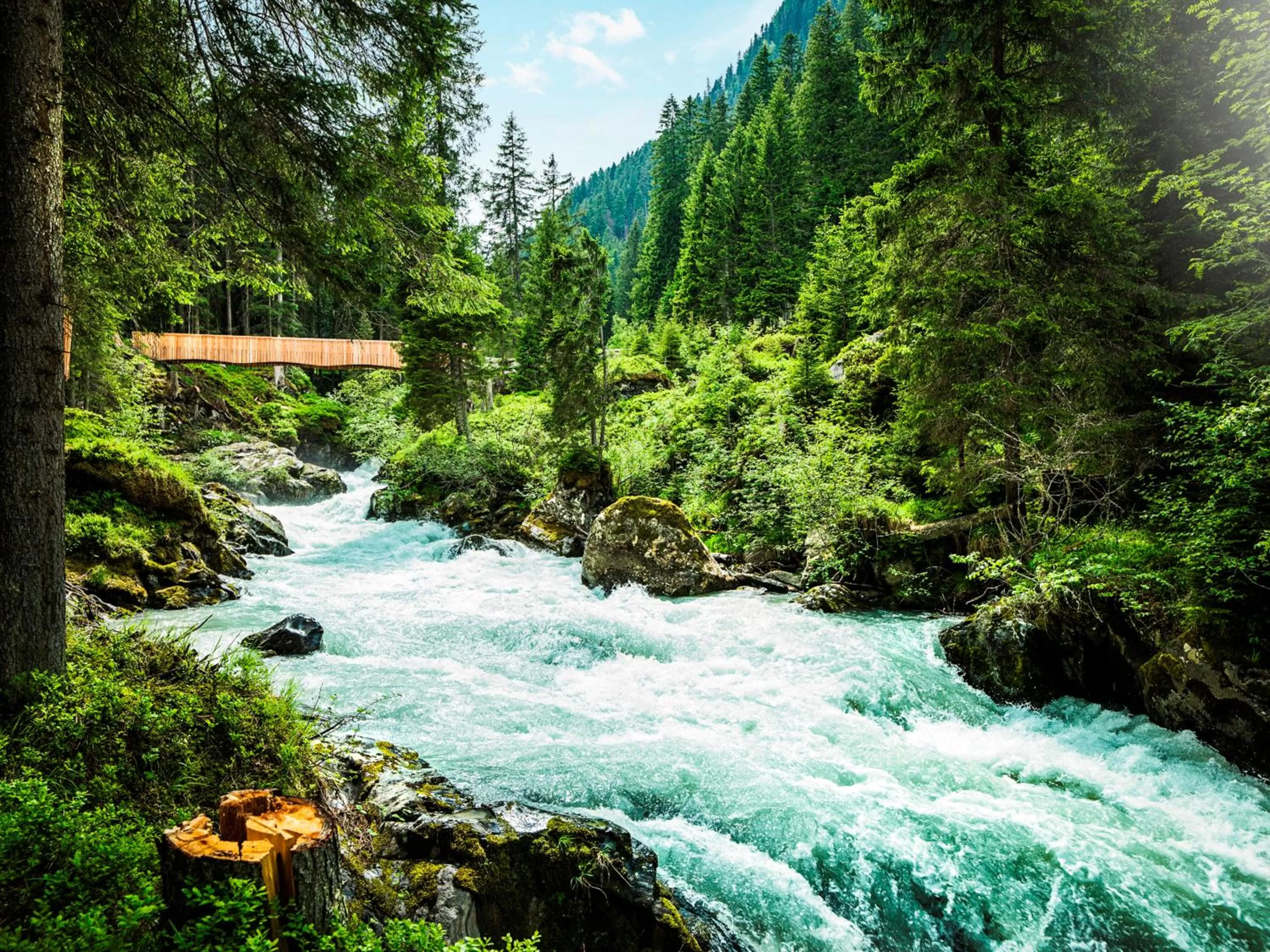 Activities in Hotel Stubaierhof