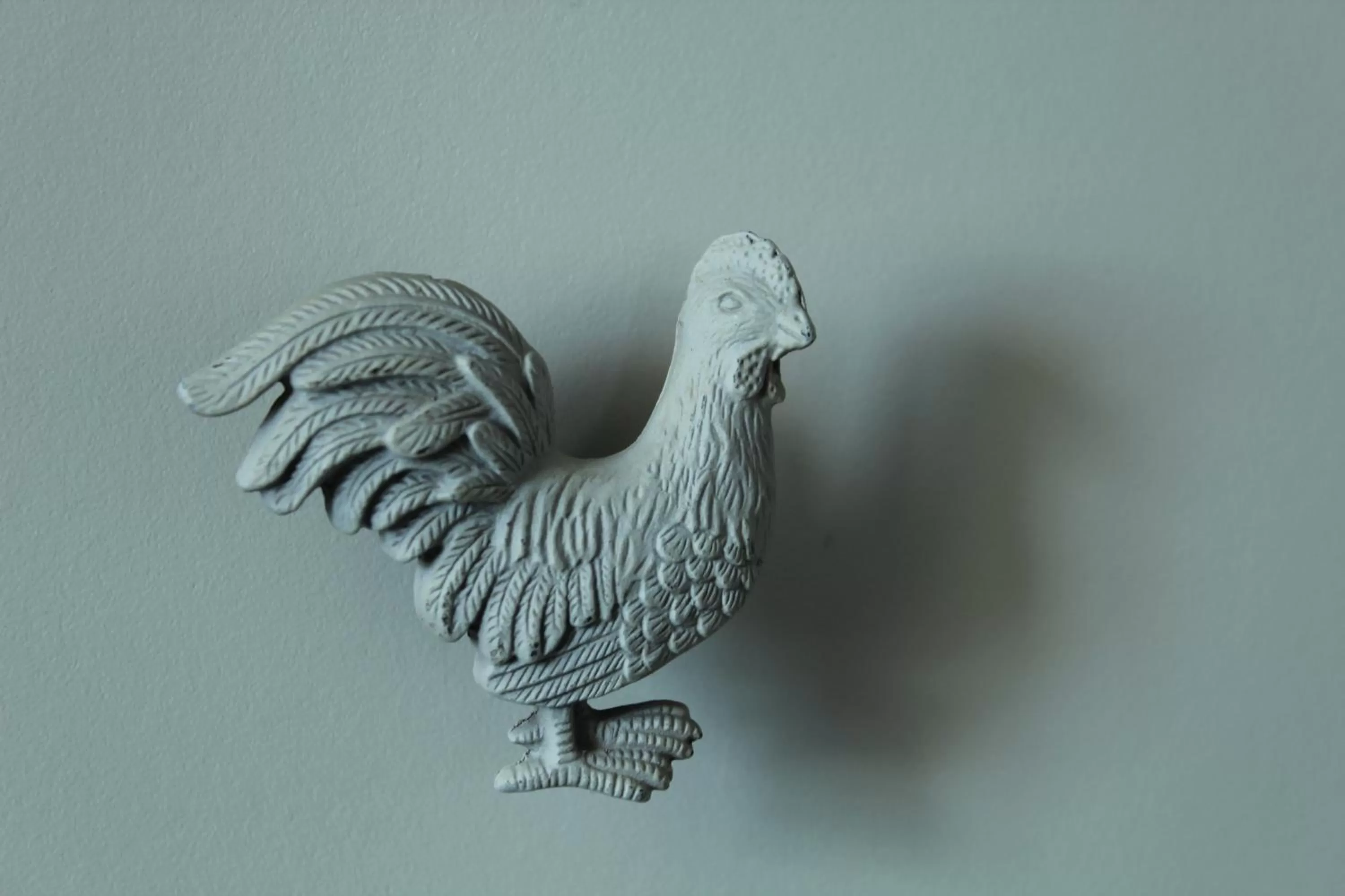 Other Animals in B&B Dageraad