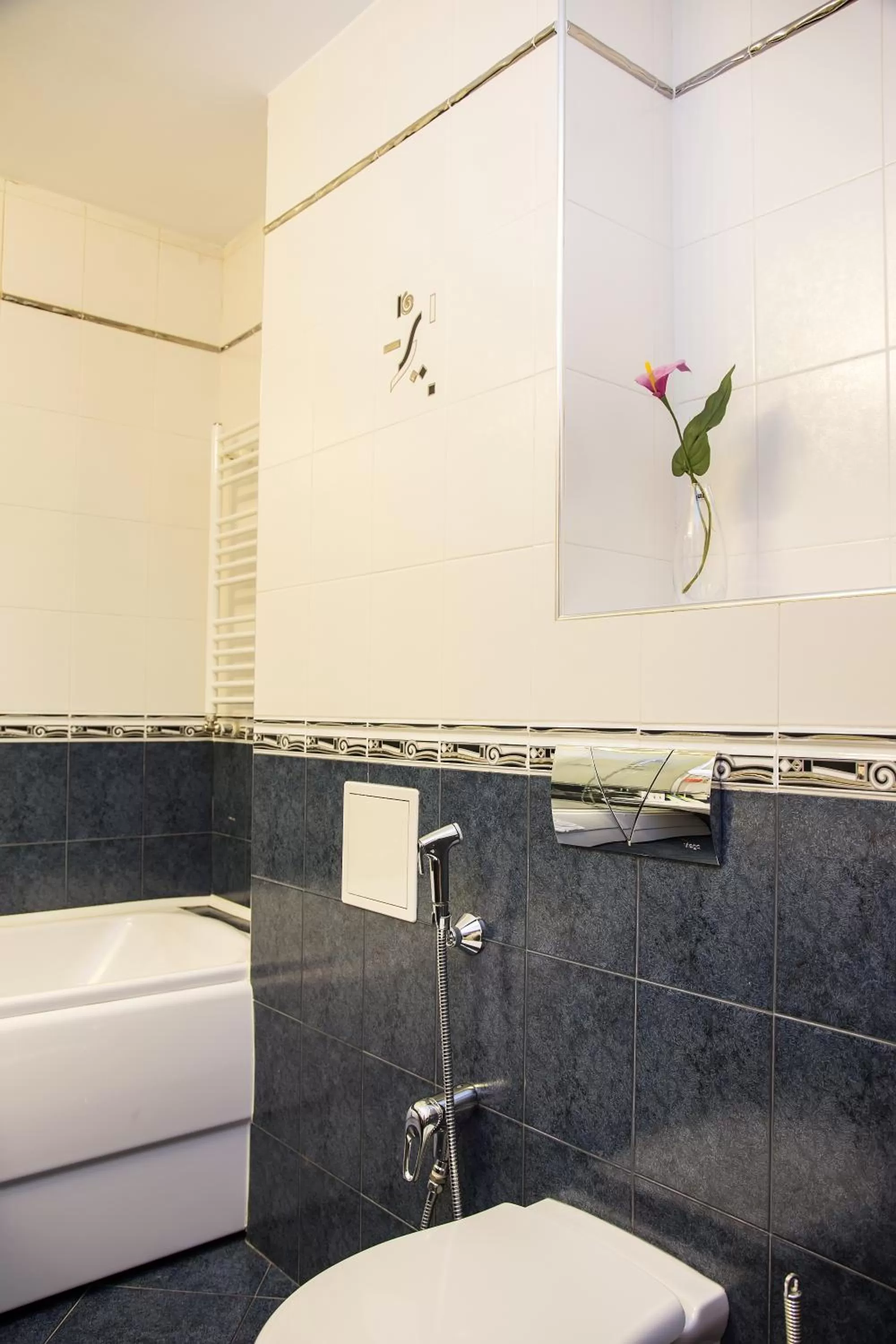 Bathroom in Europe Hotel