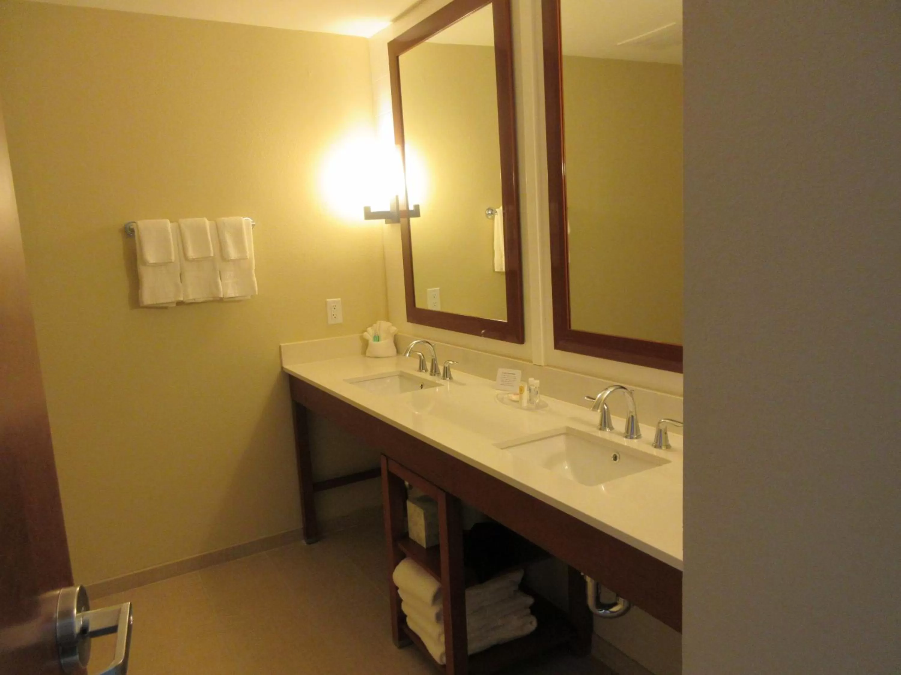 Bathroom in Comfort Suites Summerville