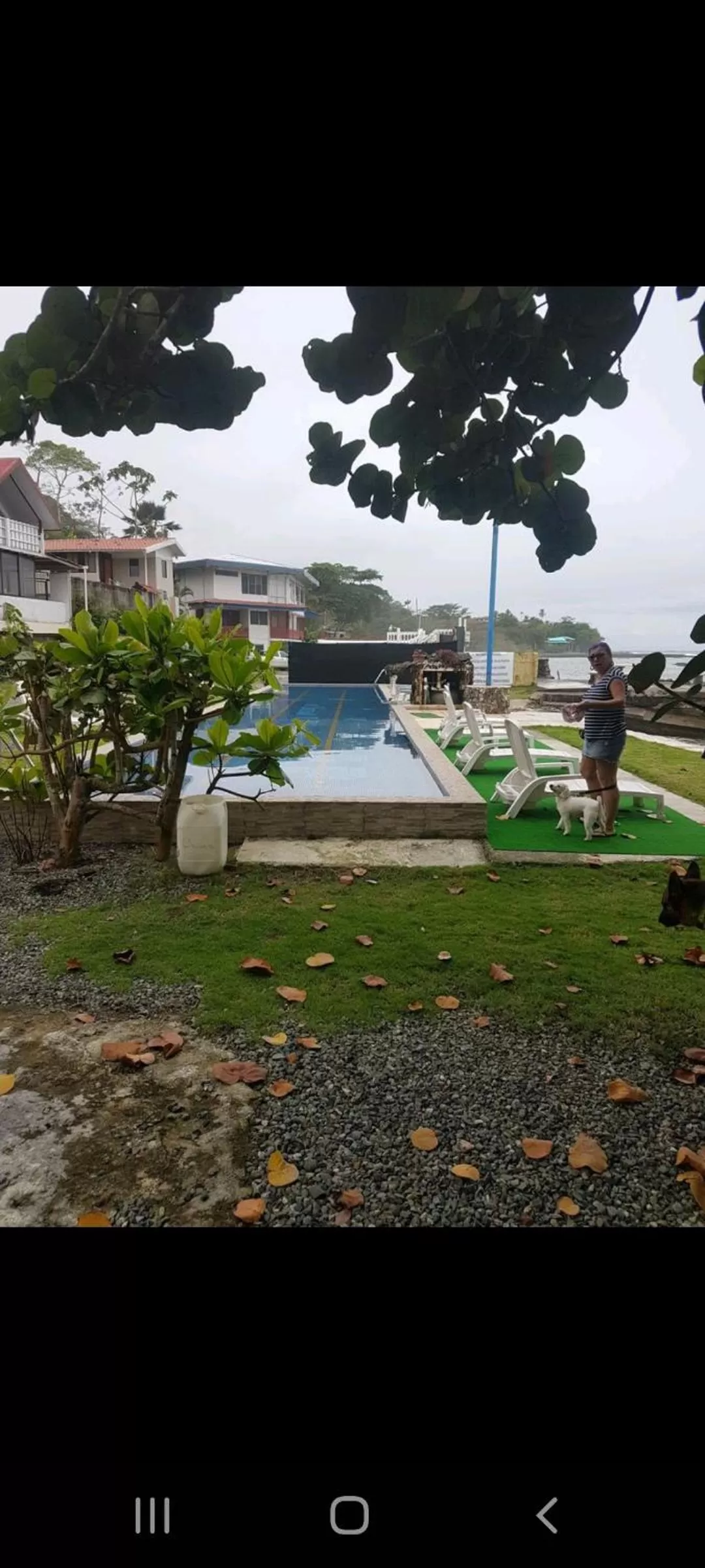 Swimming Pool in Hotel la Cueva Limon
