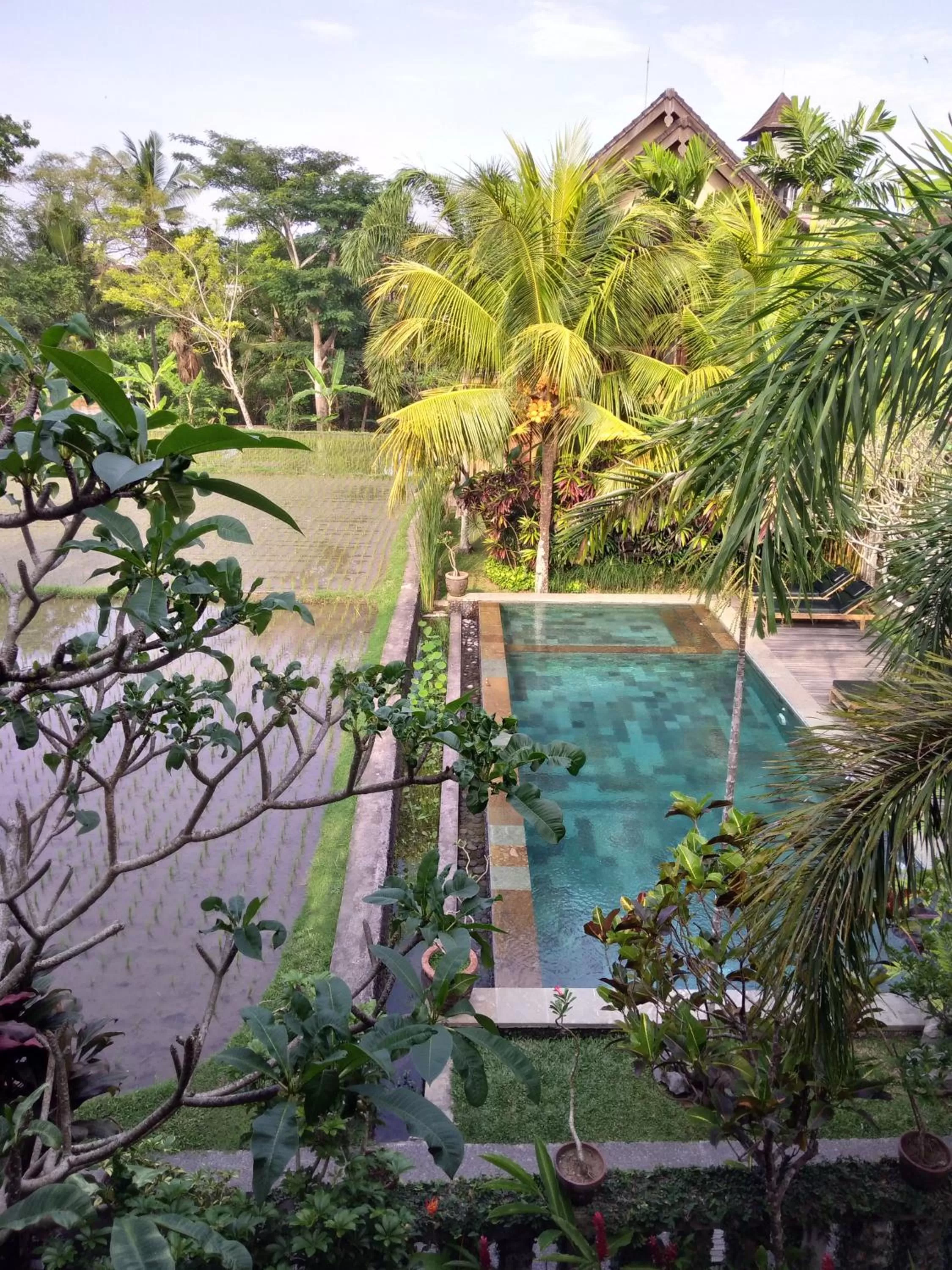 Pool View in Ubud Lestari Bungalows
