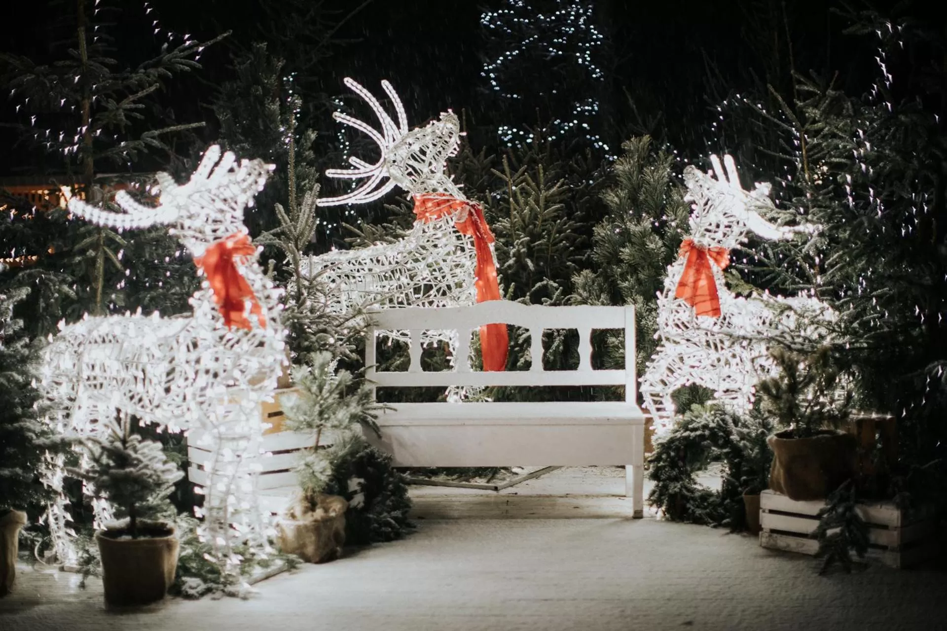 Night in Aries Hotel & SPA Wisła