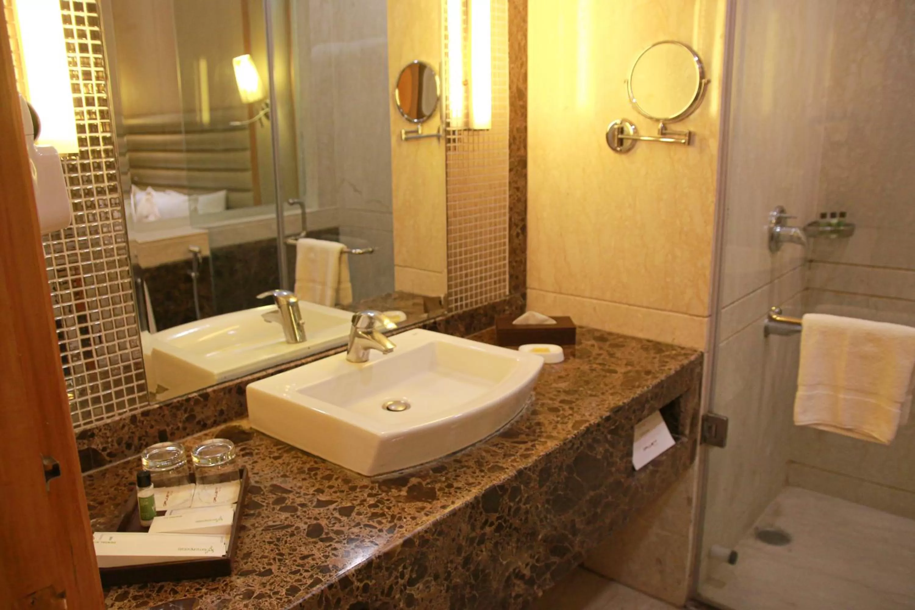 Toilet in Opulent by Udman Chhattarpur