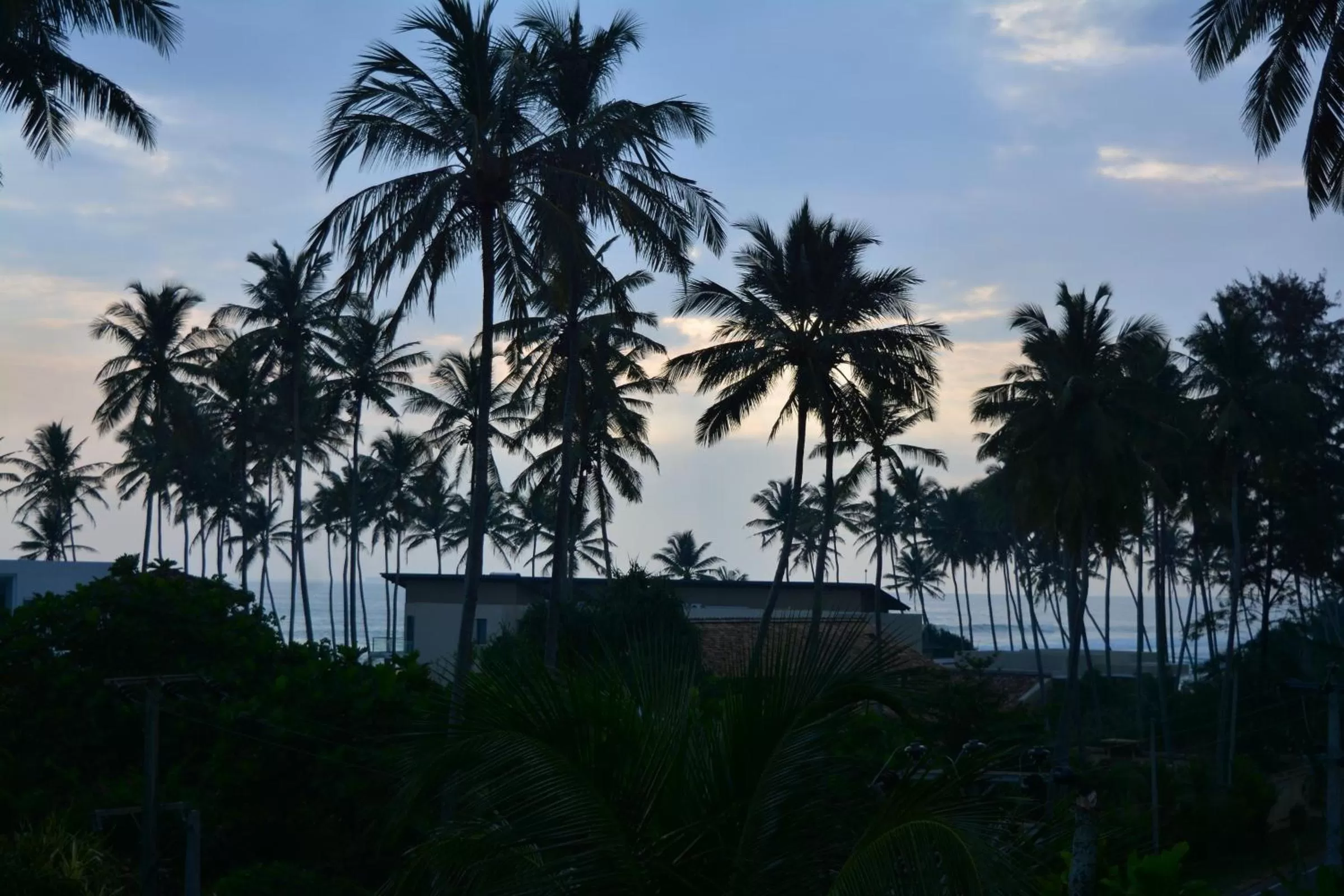 Sea view in Green Almond Hotel
