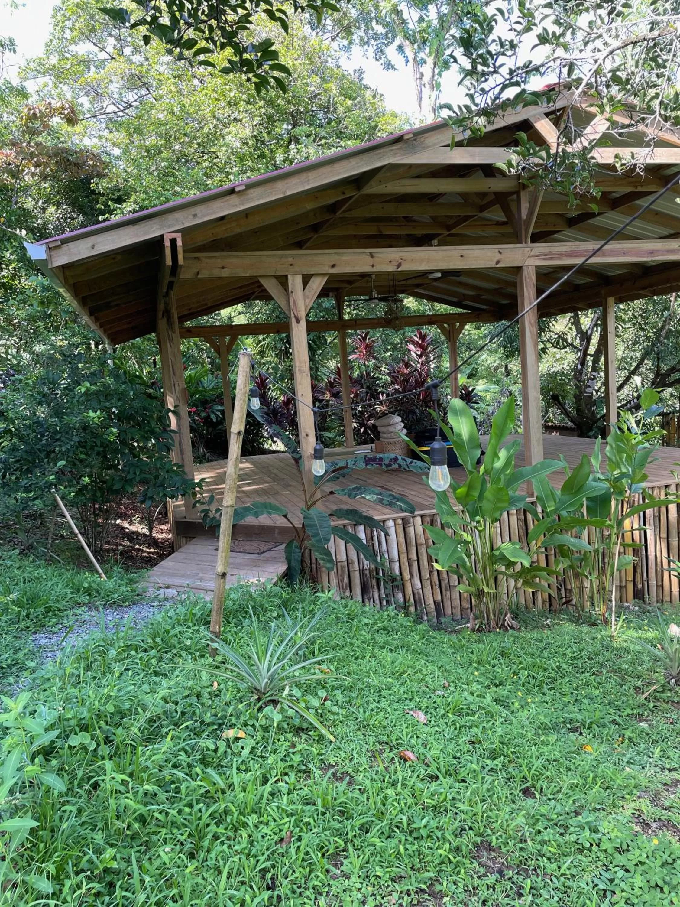 Garden in Bird Island Bungalows