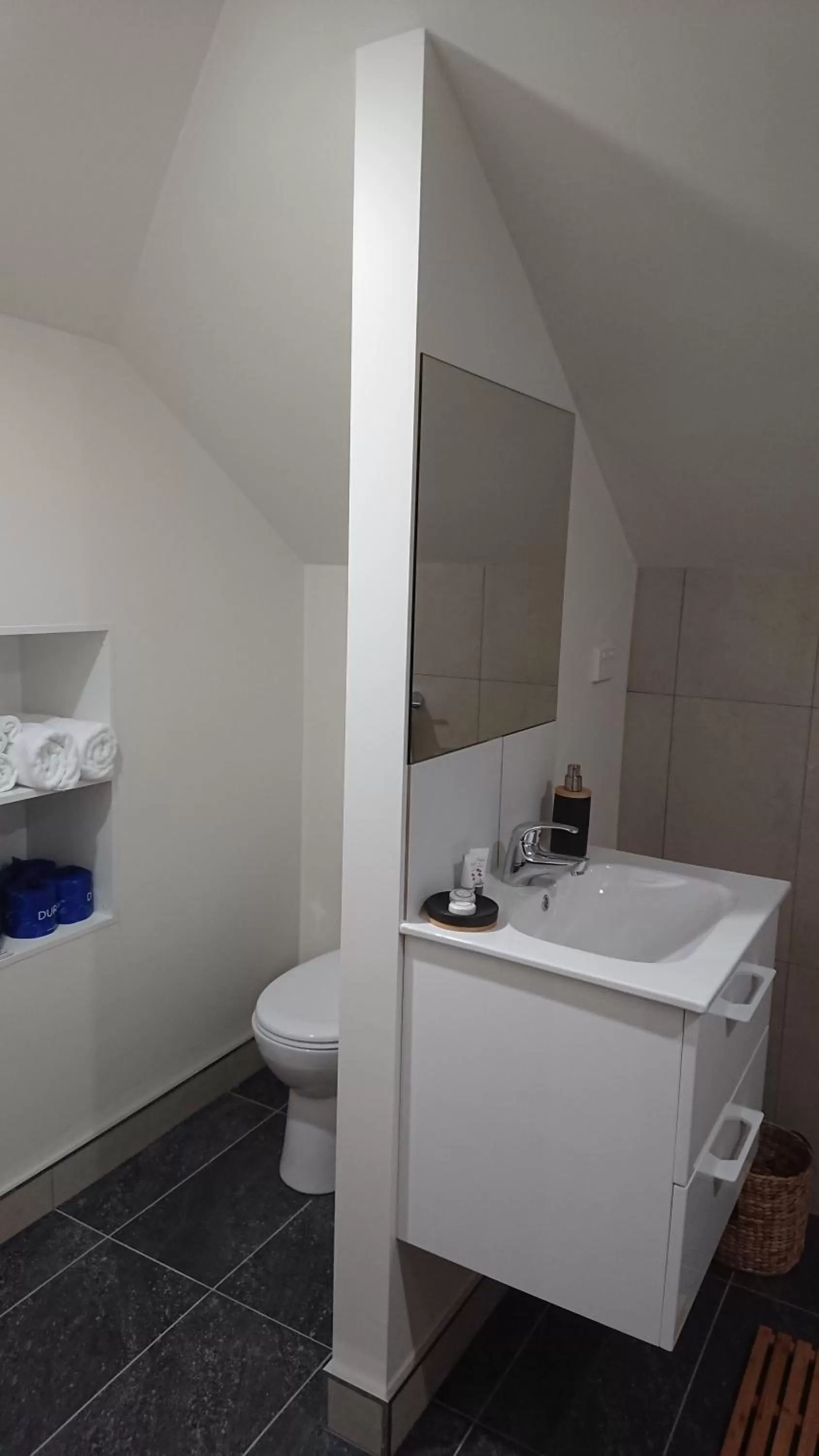 Toilet in The Empire Hotel Deloraine