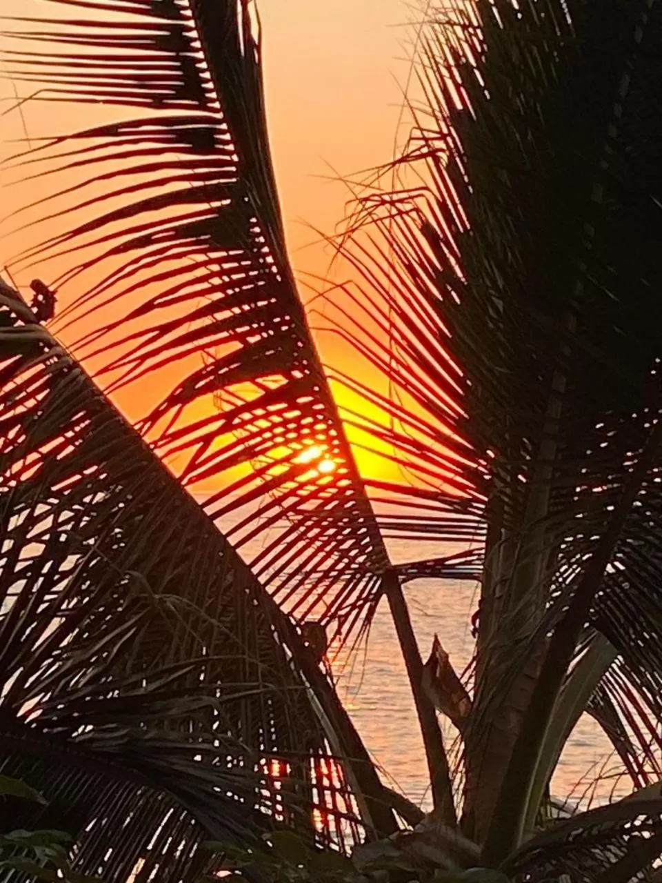 Sunrise/Sunset in Traditional Sierra Leon Oceanfront Rooms - Adults Only