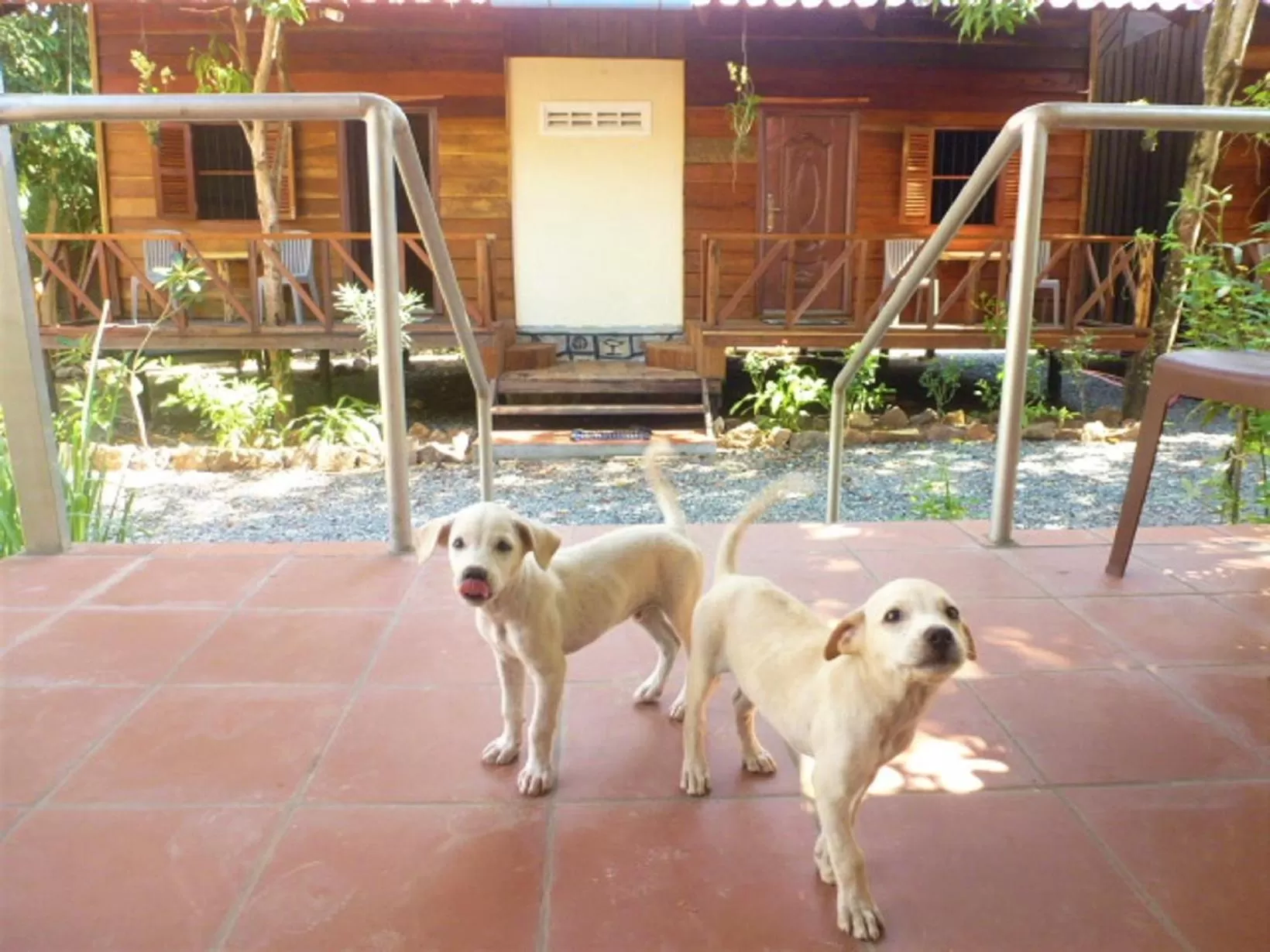 Property building in Green Mango Bungalows